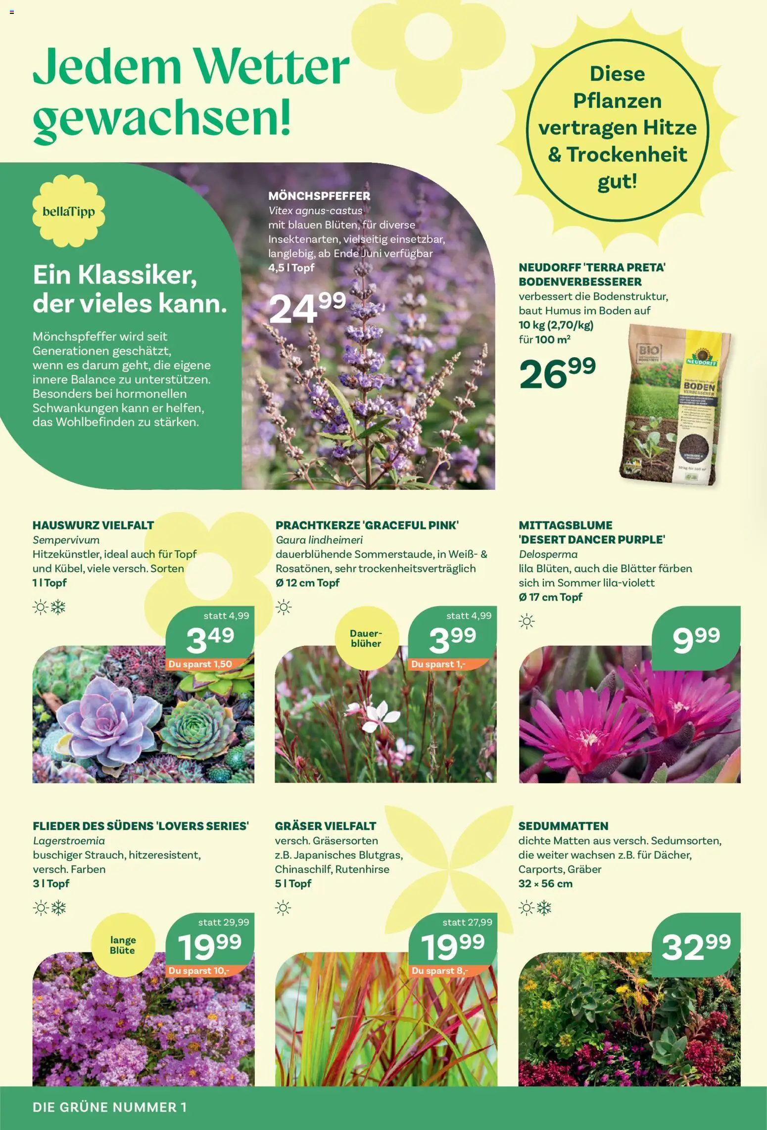 bellaflora Flugblatt gültig ab 05.06.2026 | Seite: 2