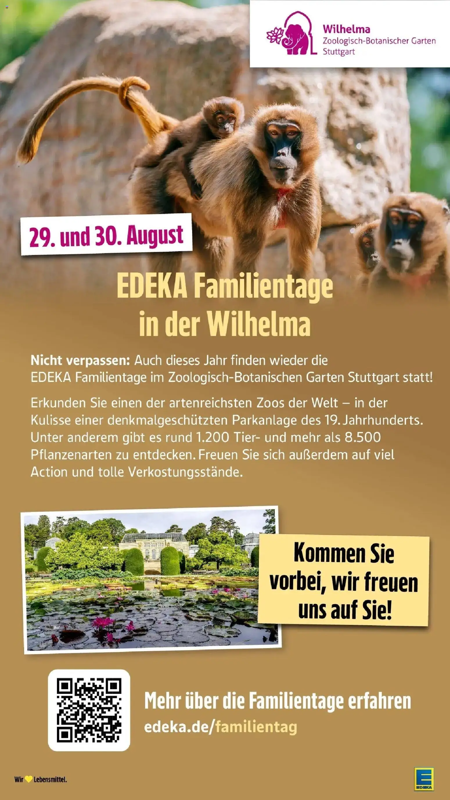 Edeka Prospekt Überlingen (ab 03.08.2026) » Angebote Online | Seite: 49