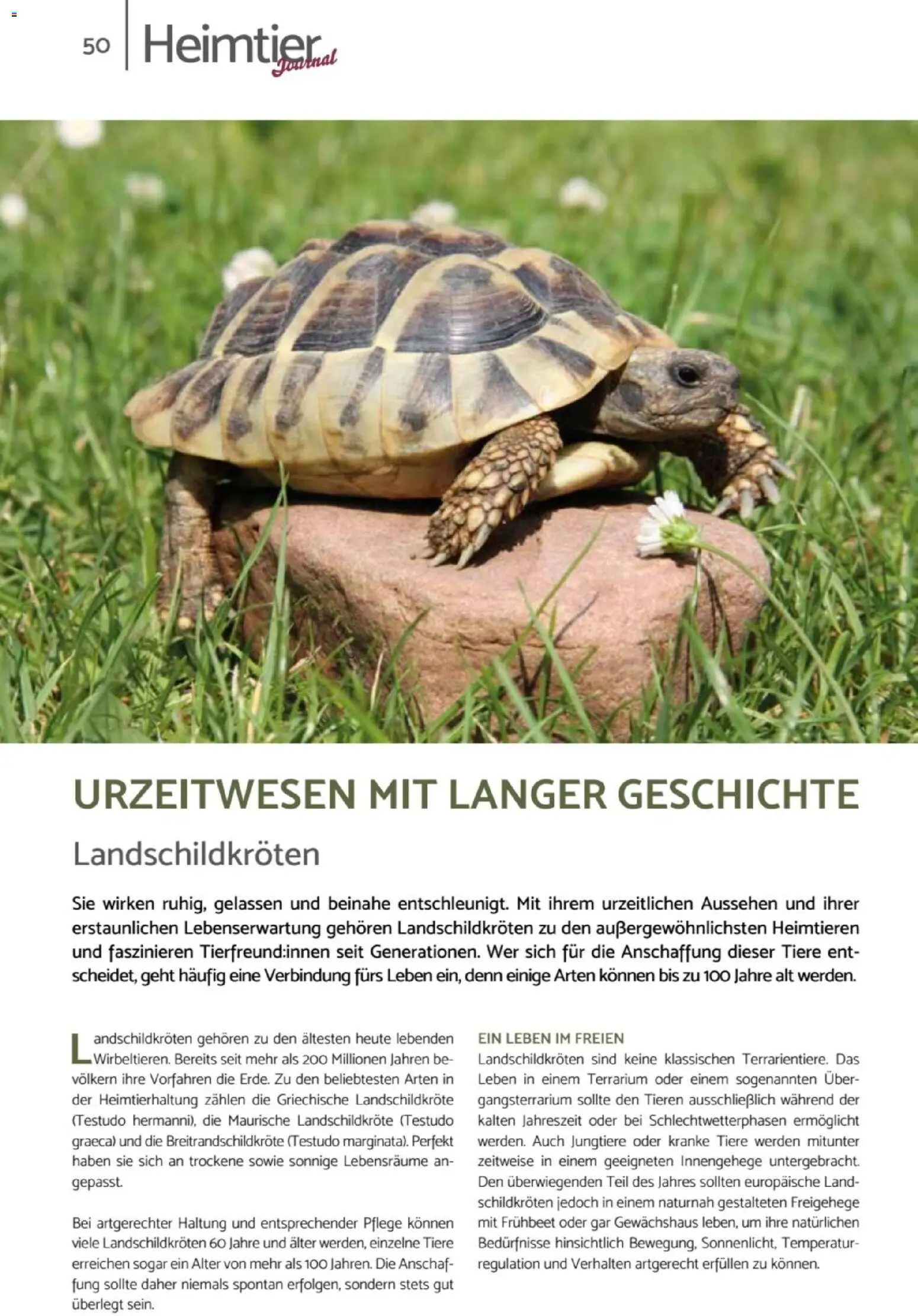 zookauf Heimtier Journal – gültig ab 01.10.2026 | Seite: 50