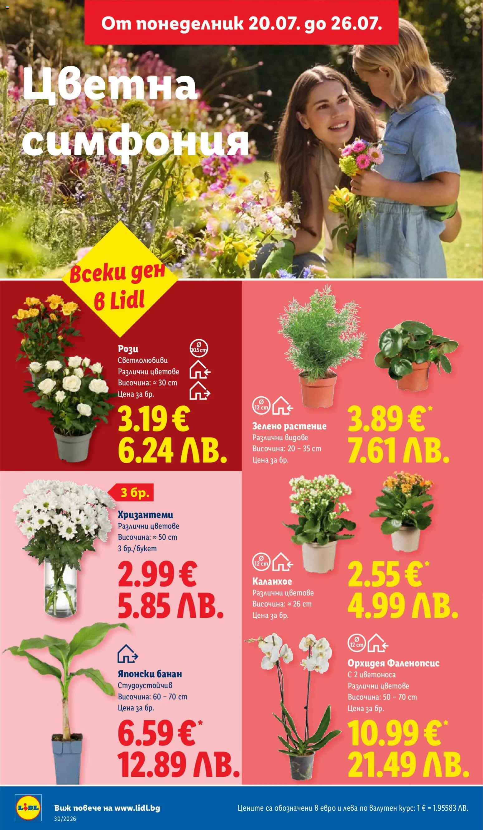 {H1} | Страница: 52 | Продукти: Орхидея
