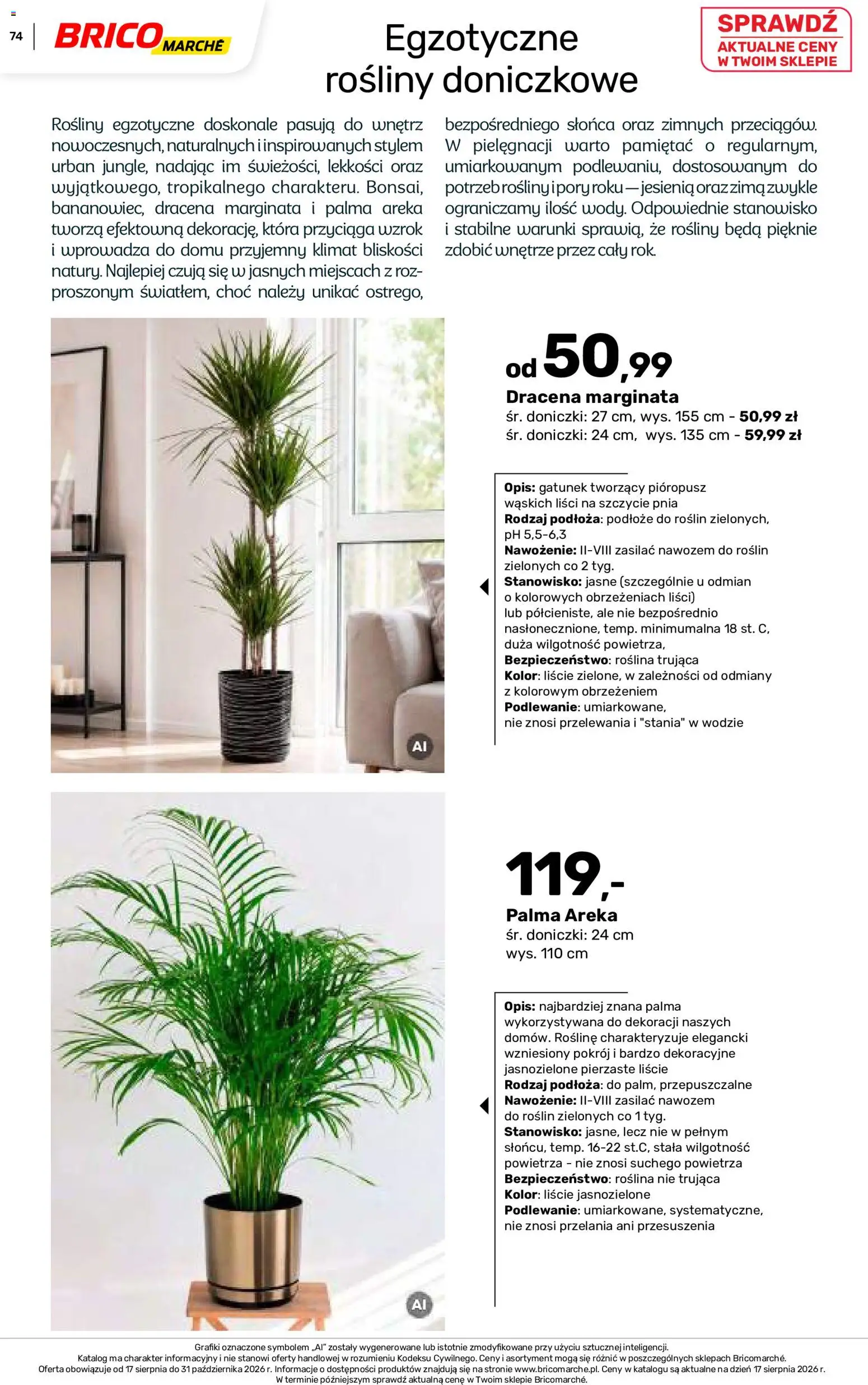 Brico Marché gazetka - Jesienne Inspiracje od 17.08.2026 | Strona: 74 | Produkty: Podłoże do roślin, Rośliny doniczkowe, Rosliny, Palma Areka
