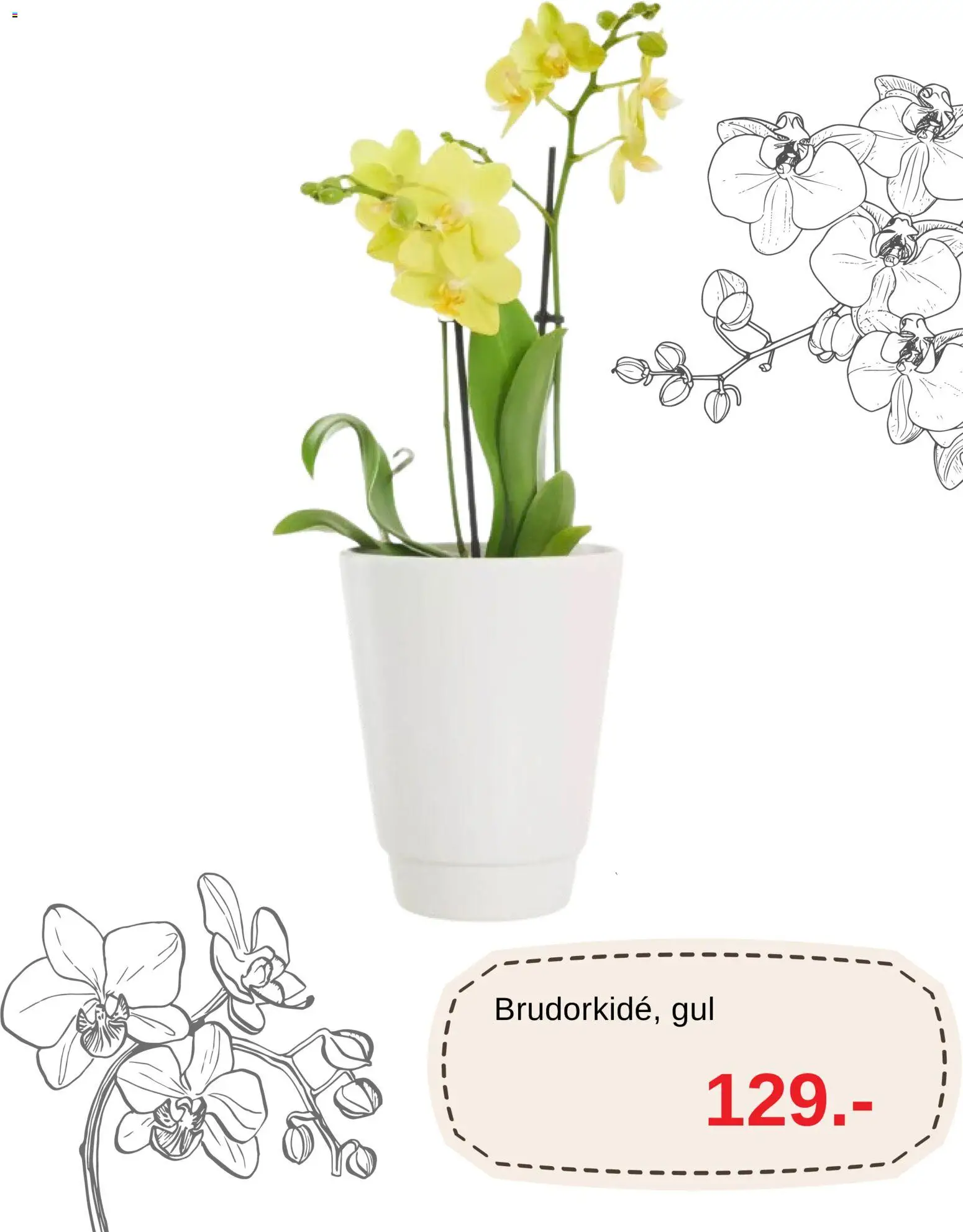 Blomsterlandet reklamblad aktuell från 09/10/2026 | Sida: 5