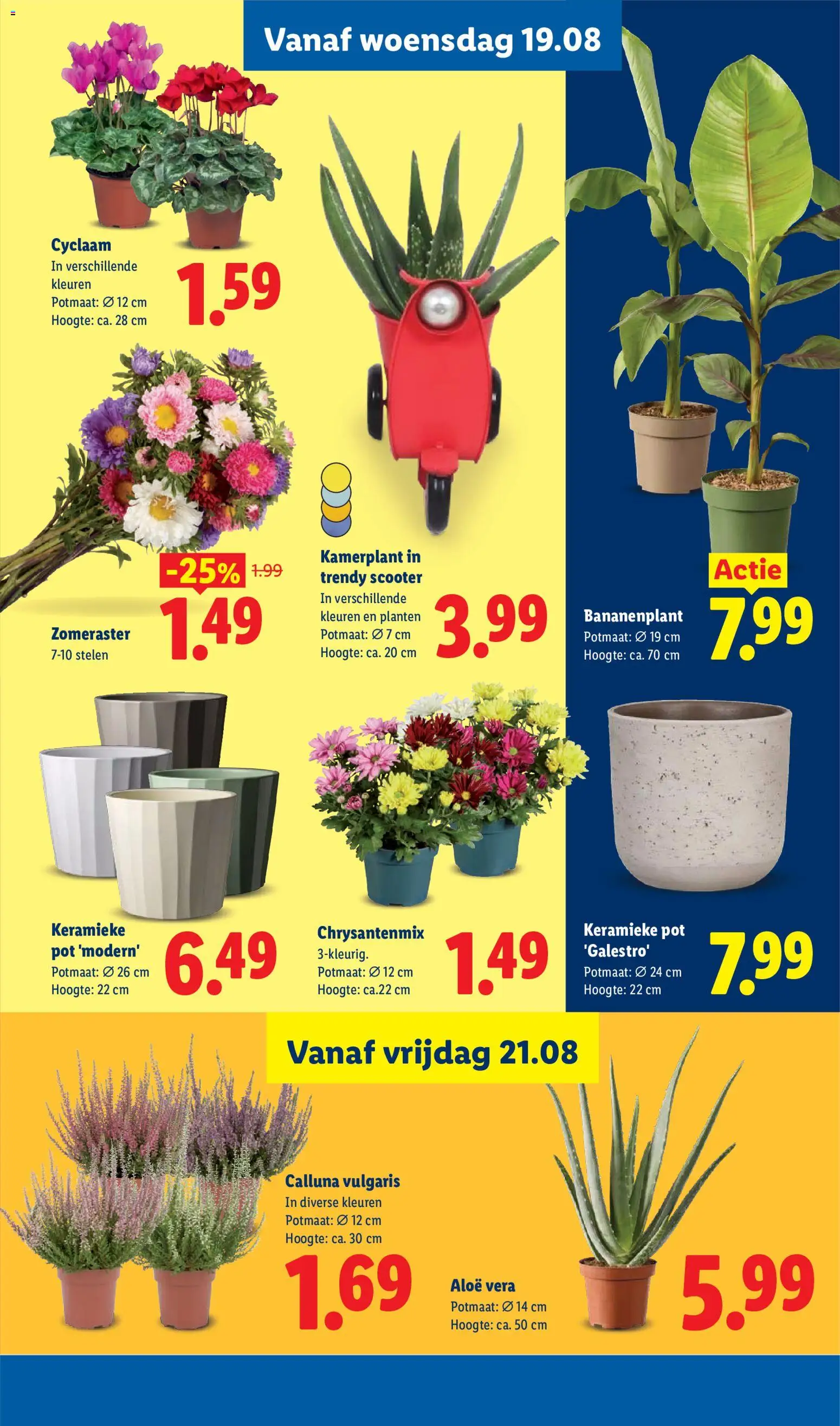 {H1} | Pagina: 17 | Producten: Pot, Aloë Vera