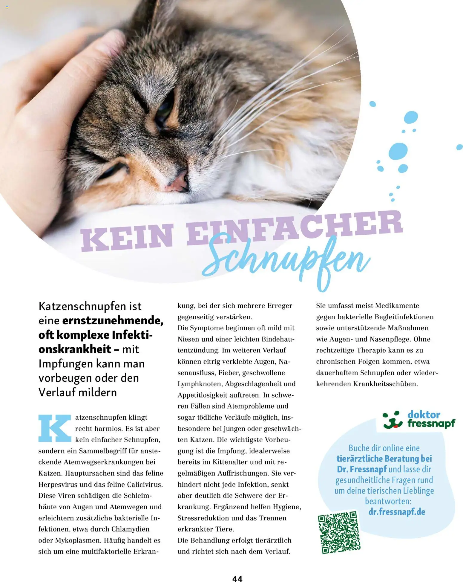 Fressnapf Friends Magazin – gültig ab 01.05.2026 | Seite: 44