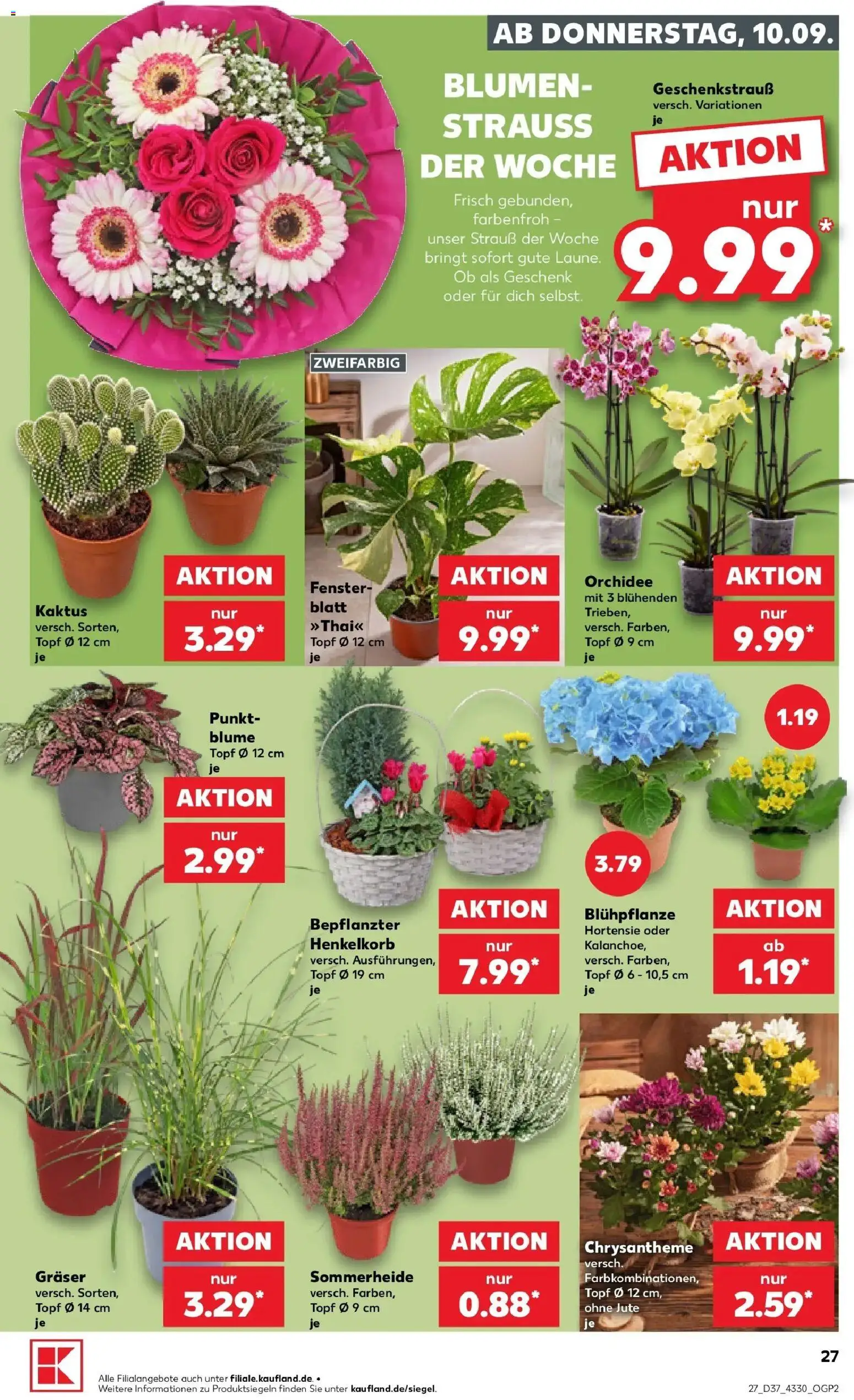 Prospekt Kaufland ab 10.09.2026 » Angebote Online zum Blättern | Seite: 27 | Produkte: Hortensie, Orchidee, Blumen