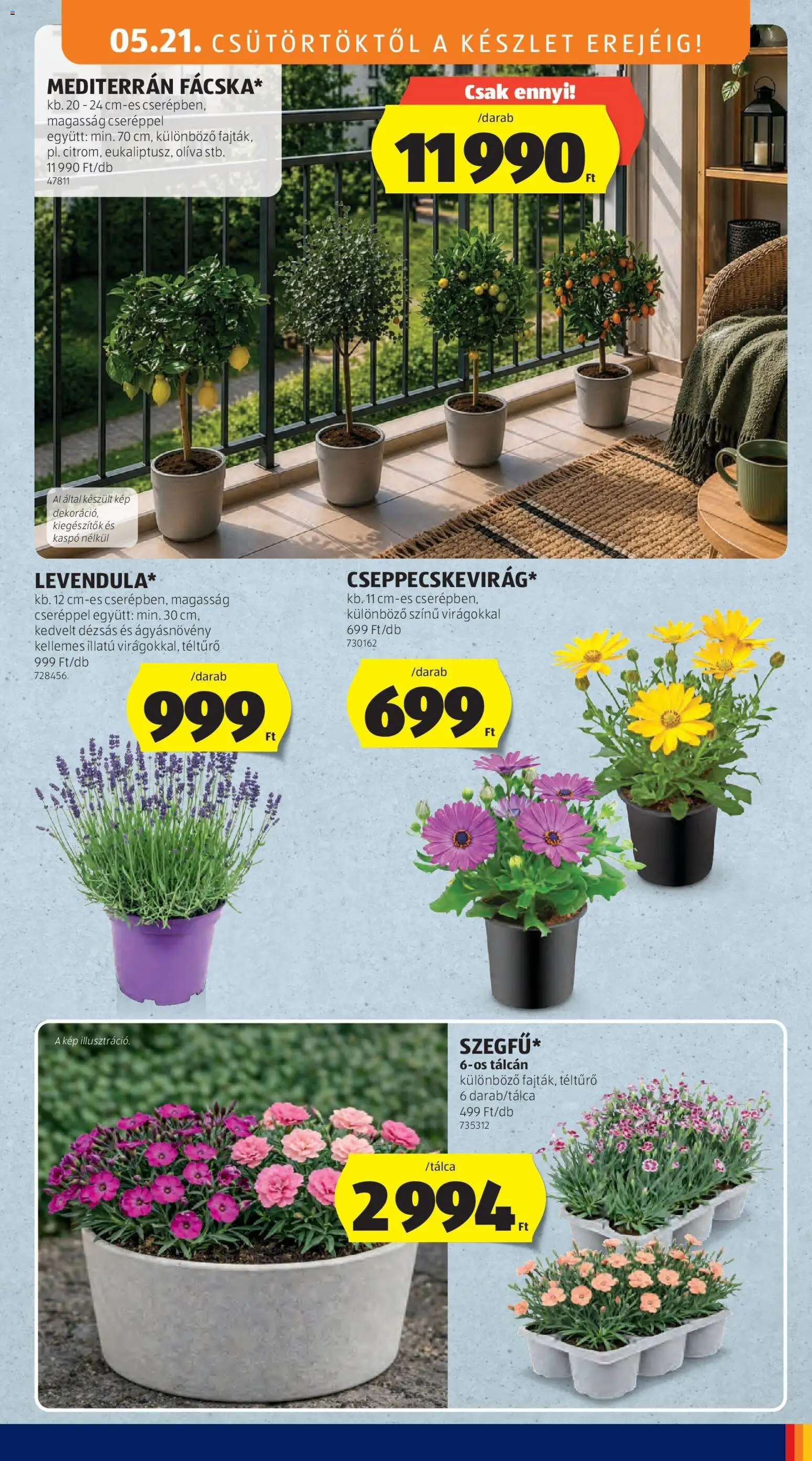Aldi akciós ujság - amely érvényes a következő dátumtól: 21.05.2026 | Oldal: 7 | Termékek: Kaspó