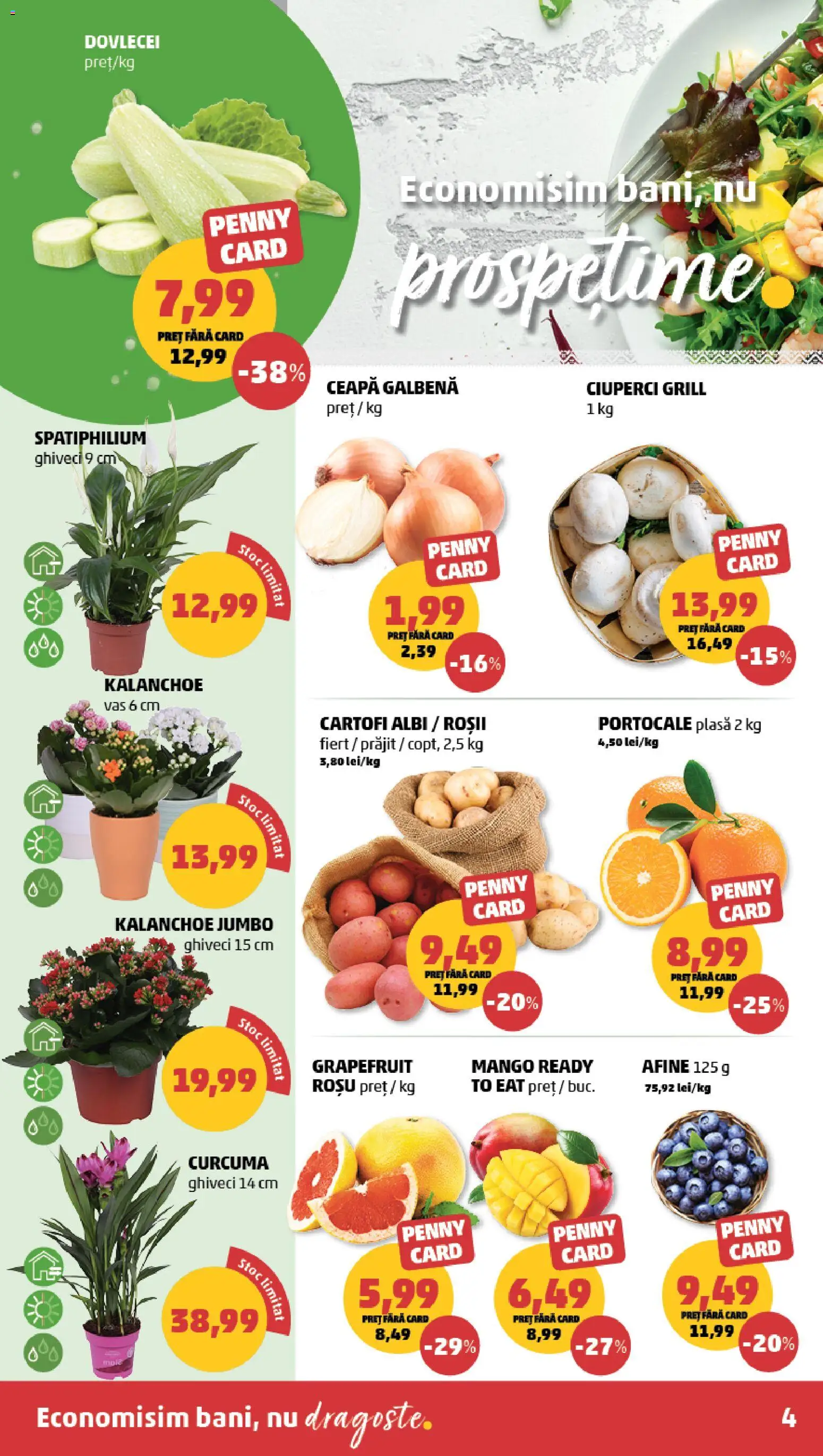 Noul catalog PENNY – valabil de la 15.04.2026 | Pagină: 4 | Produse: Grill, Ceapă galbenă, Ghiveci, Mango