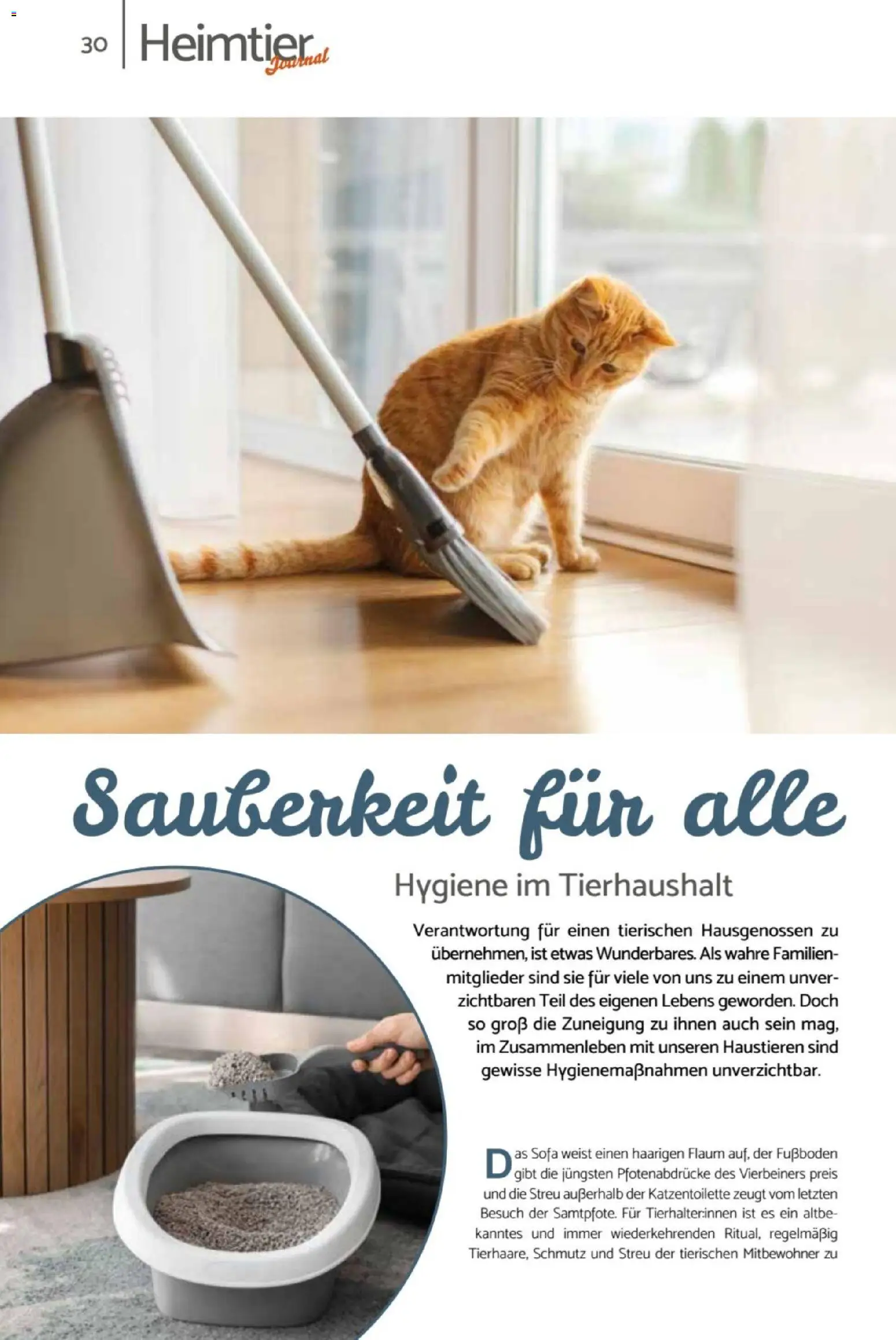 zookauf Heimtier Journal – gültig ab 01.06.2026 | Seite: 30 | Produkte: Sofa