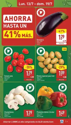 Vista previa Pimientos dulces tricolor, Origen: España. Categoría: I. 500 g (2.98 €/kg) válido desde el 13/07/2026 | Página: 5