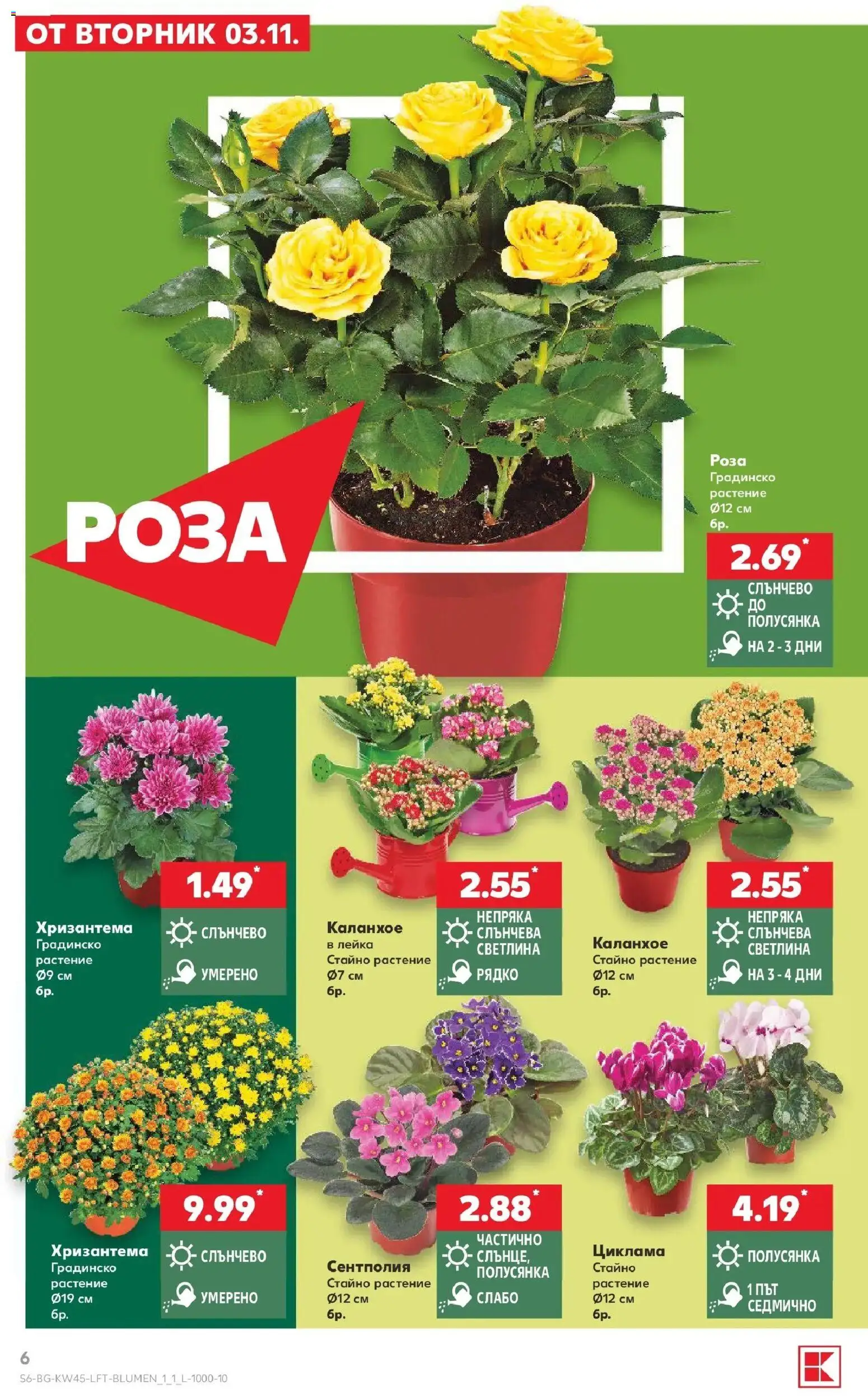 Нова Кауфланд брошура  - Топ оферти в Kaufland с валидност до 08.11.2026 от 02.11.2026 | Страница: 6 | Продукти: Хризантема, Роза, Лейка