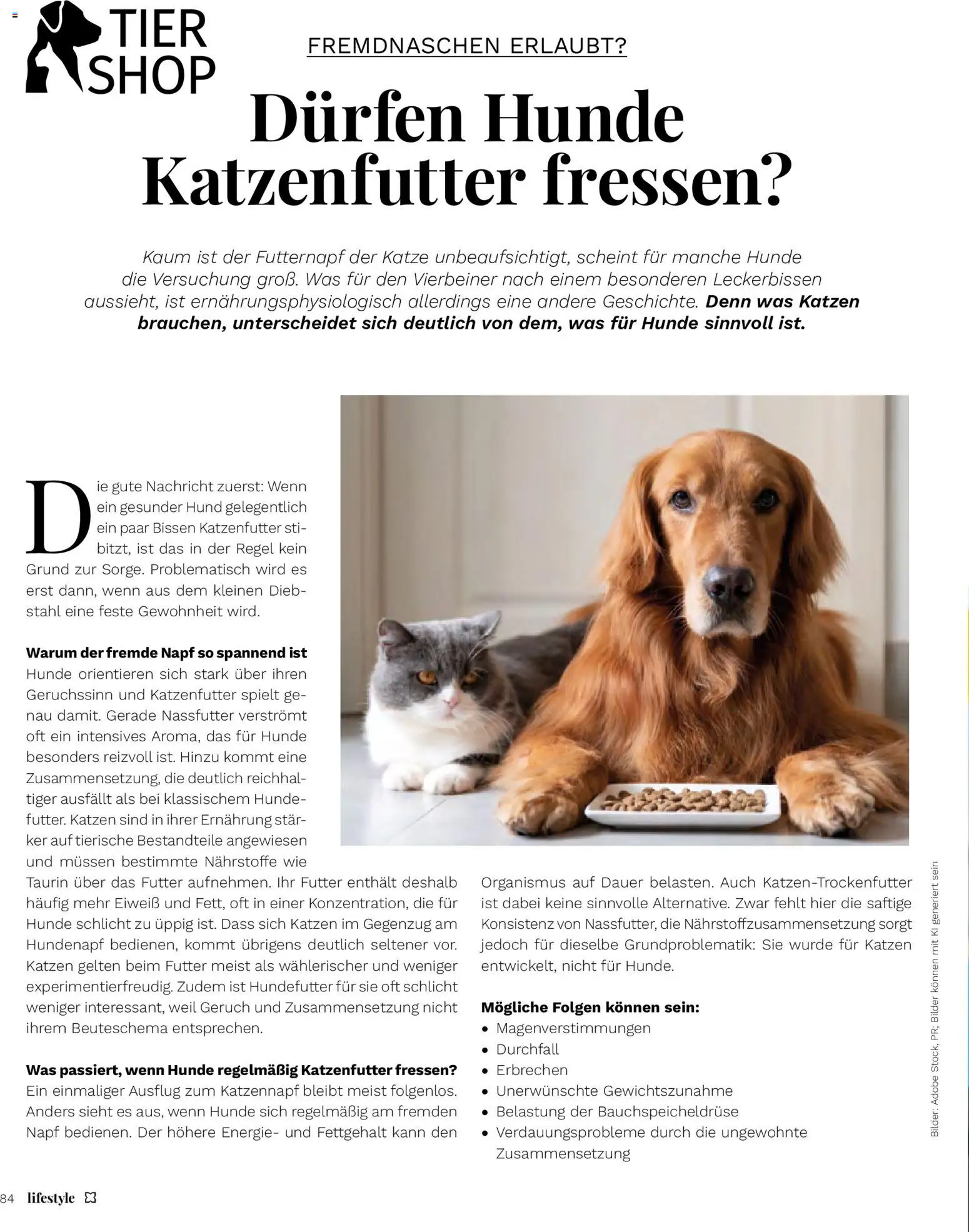 Müller Lifestyle – gültig ab 01.09.2026 | Seite: 84 | Produkte: Katzenfutter, Bilder, Nachricht