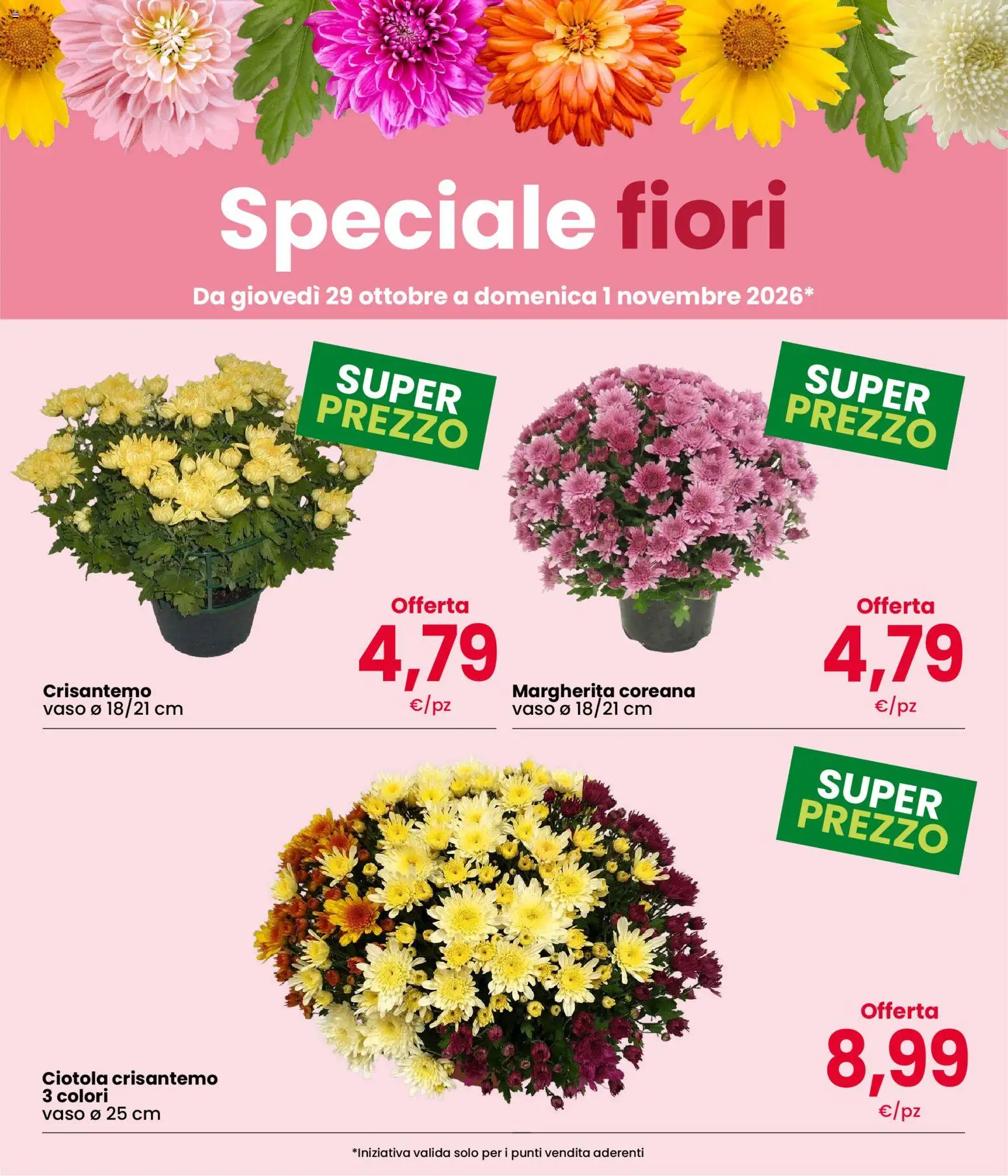 Volantino Eurospar del 29/10/2026 | Pagina: 4 | Prodotti: Fiori, Ciotola, Vaso
