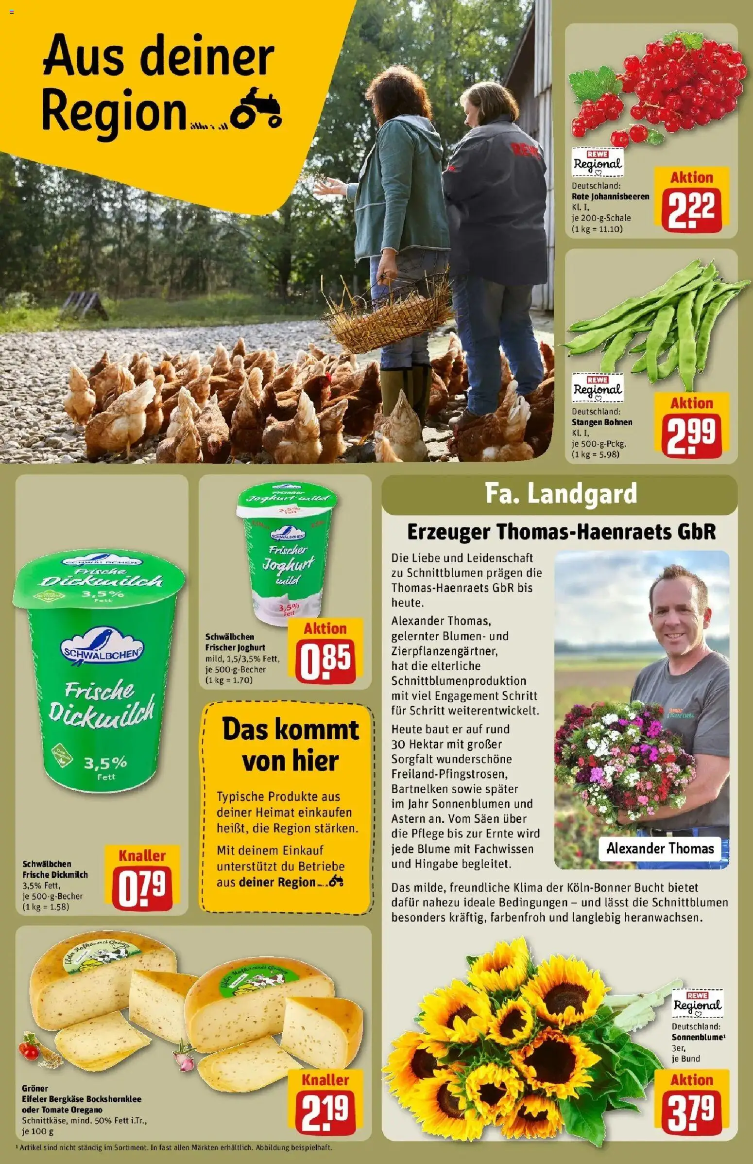 REWE Prospekt ab 24.08.2026 zum Blättern » Angebote | Seite: 22 | Produkte: Joghurt, Blumen