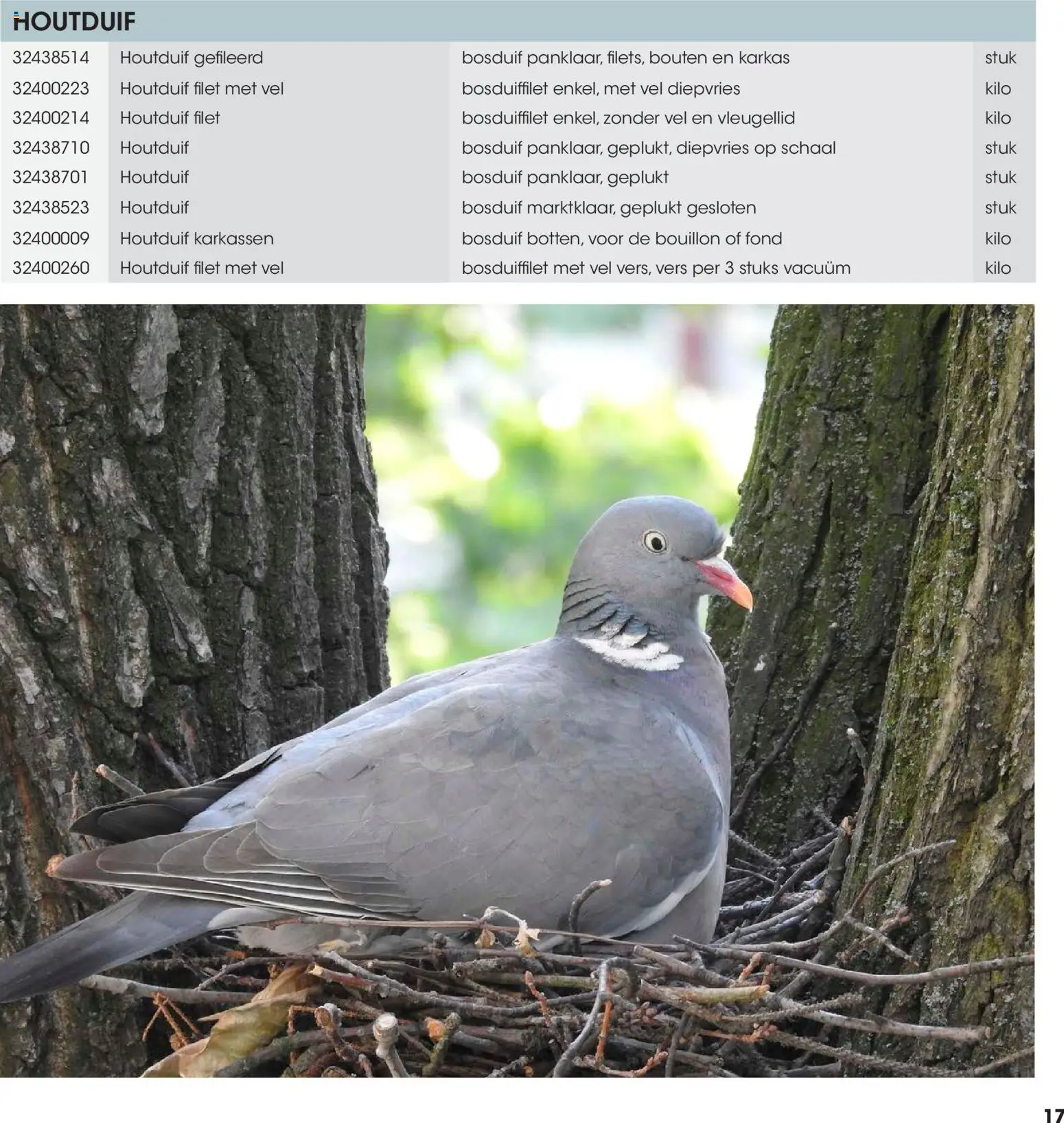 {H1} | Pagina: 17 | Producten: Schaal, Bouillon, Filet