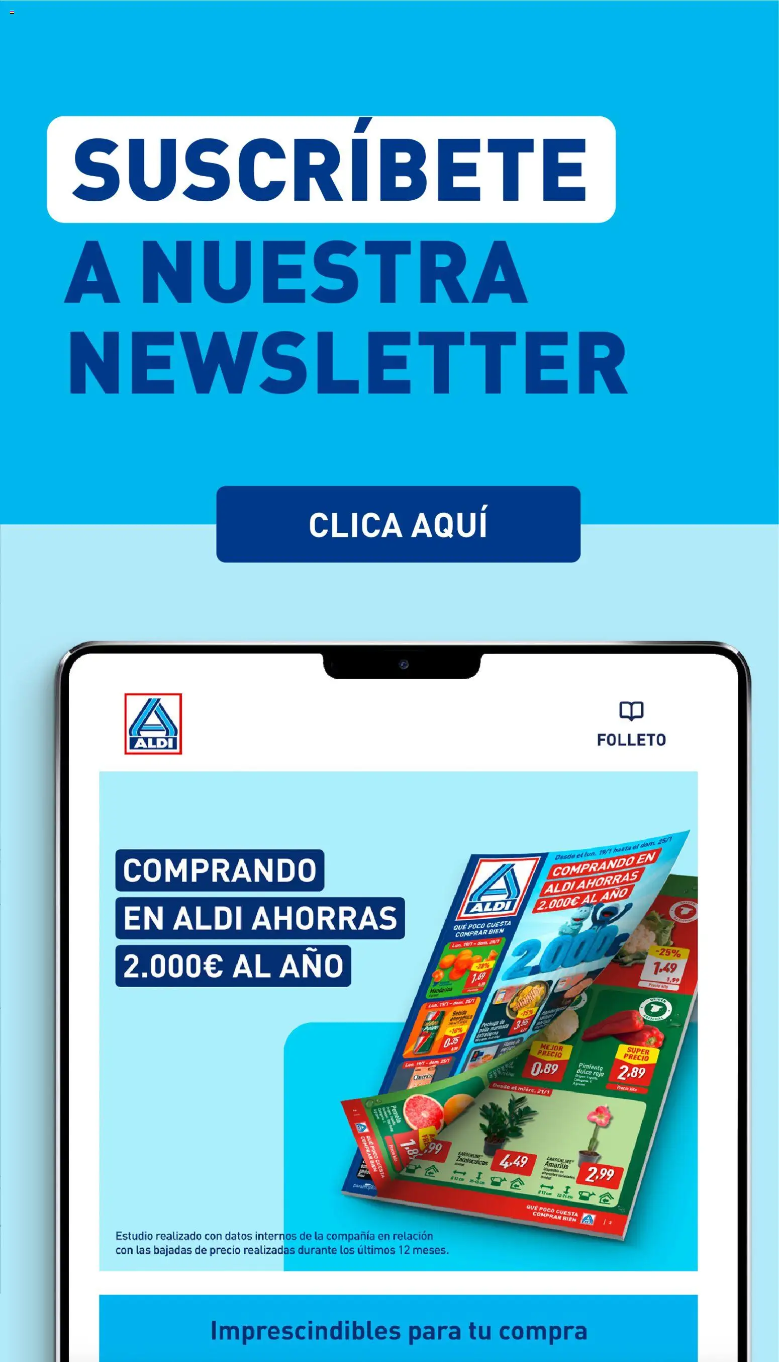 Aldi folleto Baleares │ válido desde el 22.06.2026 | Página: 31 | Productos: Κάδος απορρυμάτων