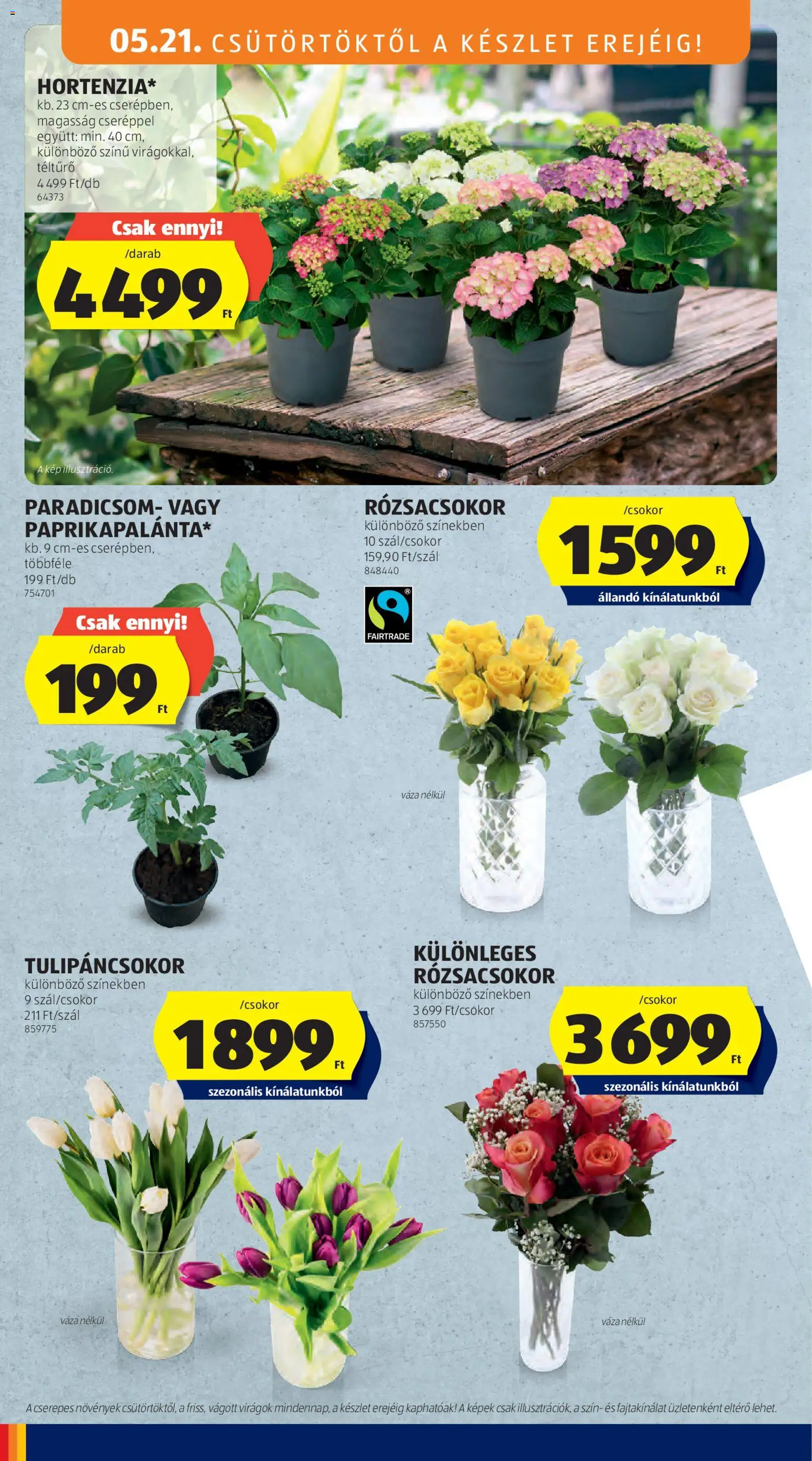 Aldi akciós ujság - amely érvényes a következő dátumtól: 21.05.2026 | Oldal: 8 | Termékek: Virágok, Váza, Paradicsom