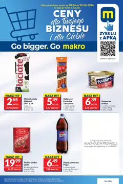 Pogląd oferty "Makro gazetka" - ważna od 09.06.2026
