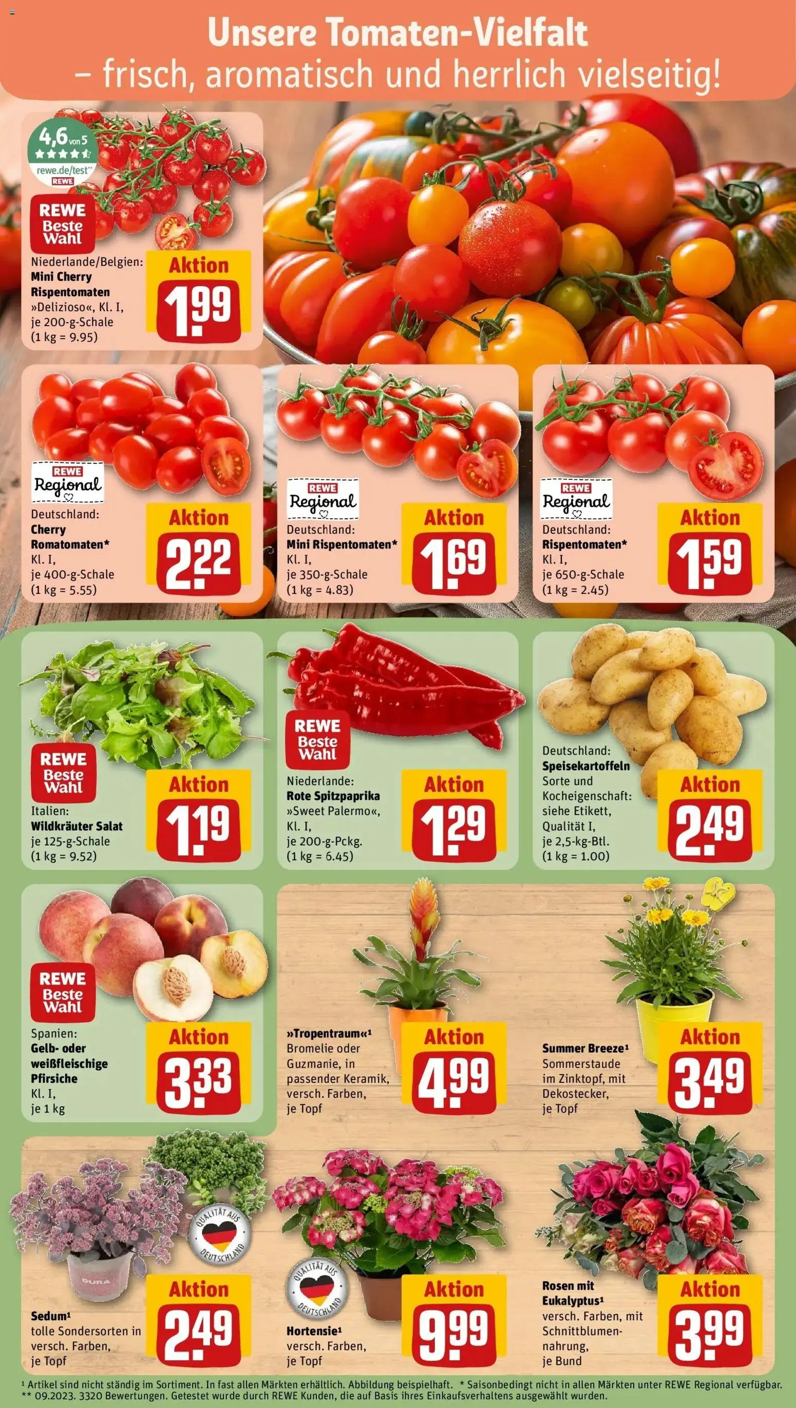 Rewe Prospekt Krefeld – gültig ab 13.07.2026 | Seite: 7 | Produkte: Salat