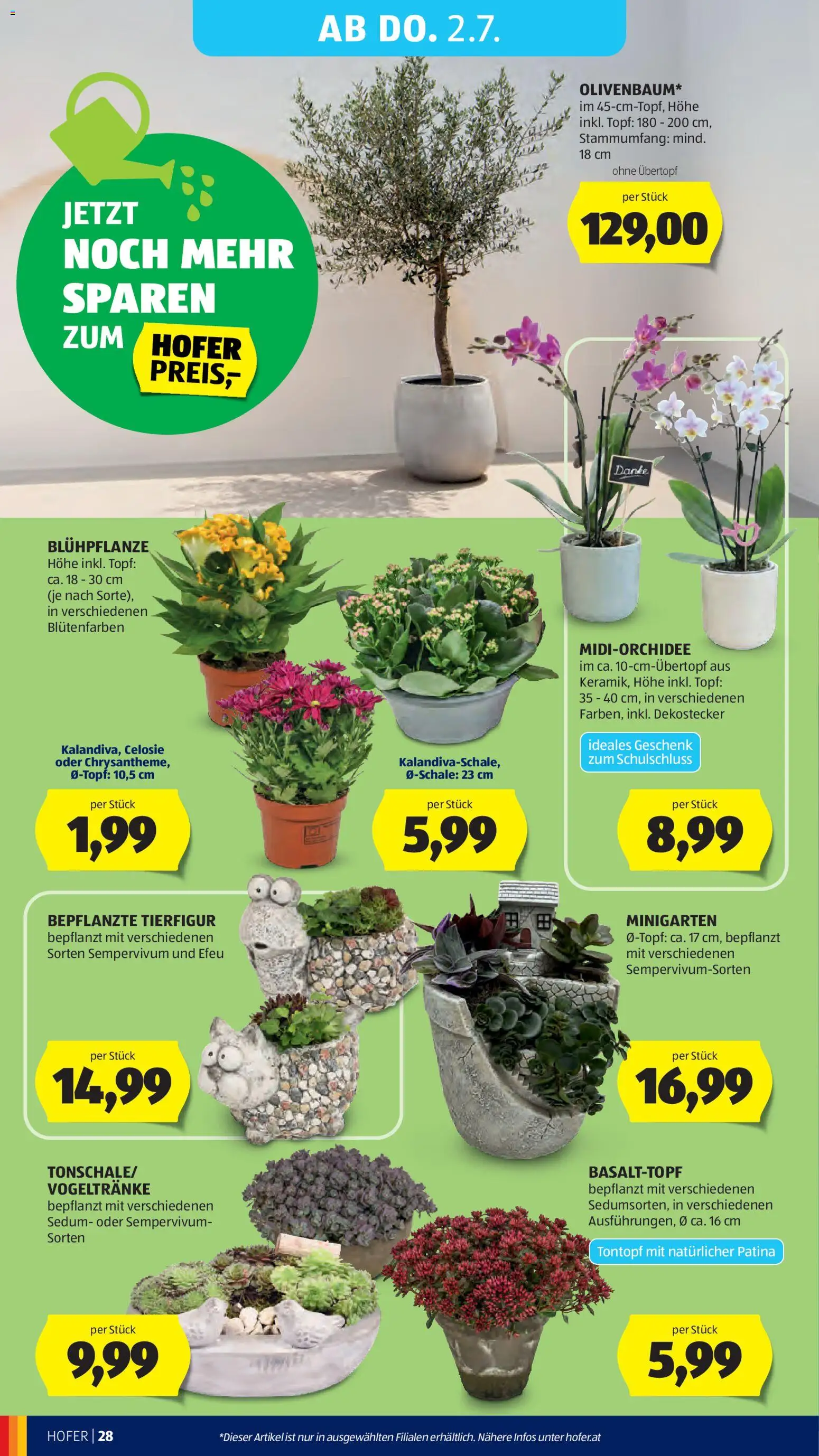 Hofer Flugblatt gültig ab 26.06.2026 | Seite: 33