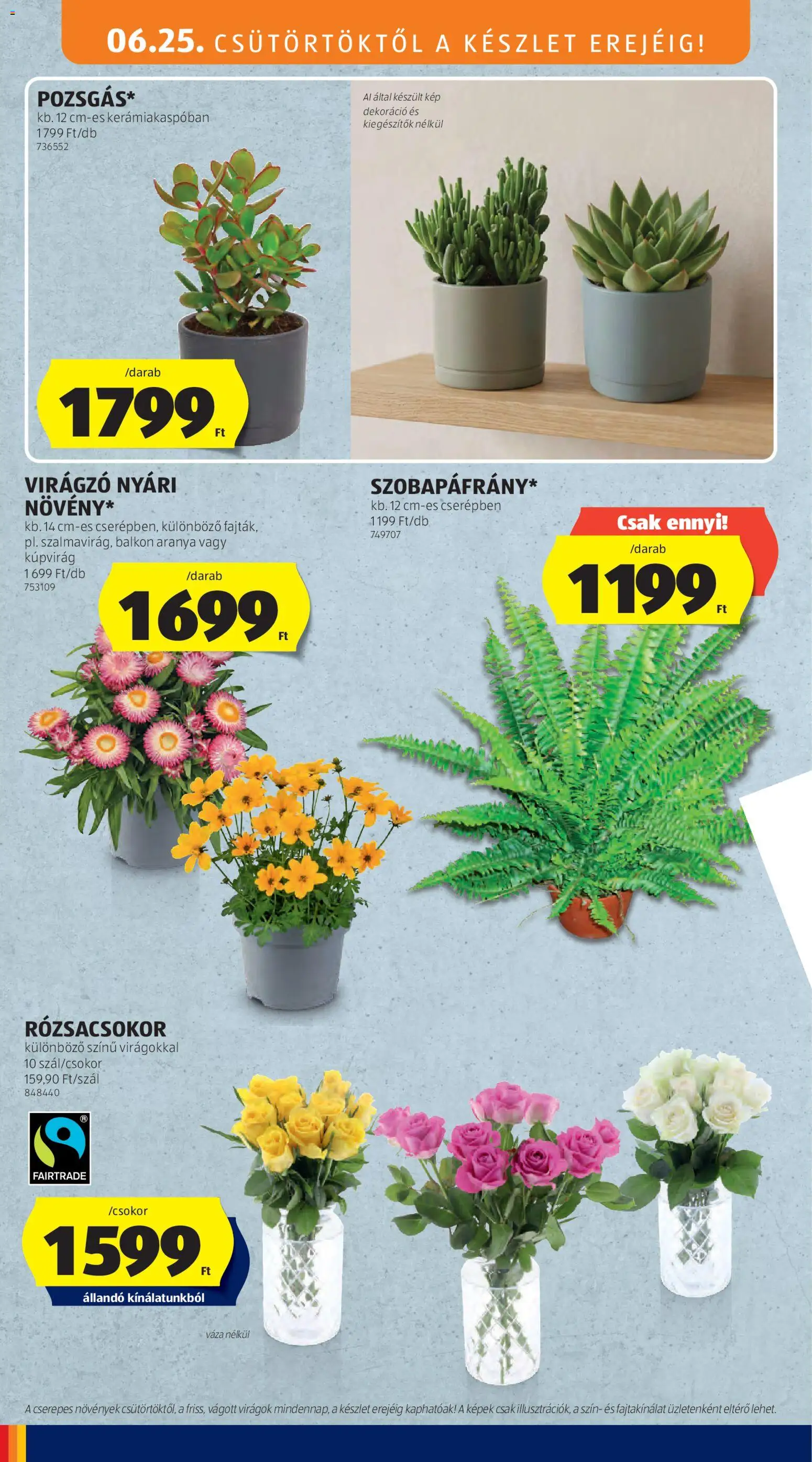 Aldi akciós ujság - amely érvényes a következő dátumtól: 25.06.2026 | Oldal: 6