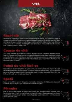 Ofertele Selgros valabile de la 25.03.2026 | Pagină: 37