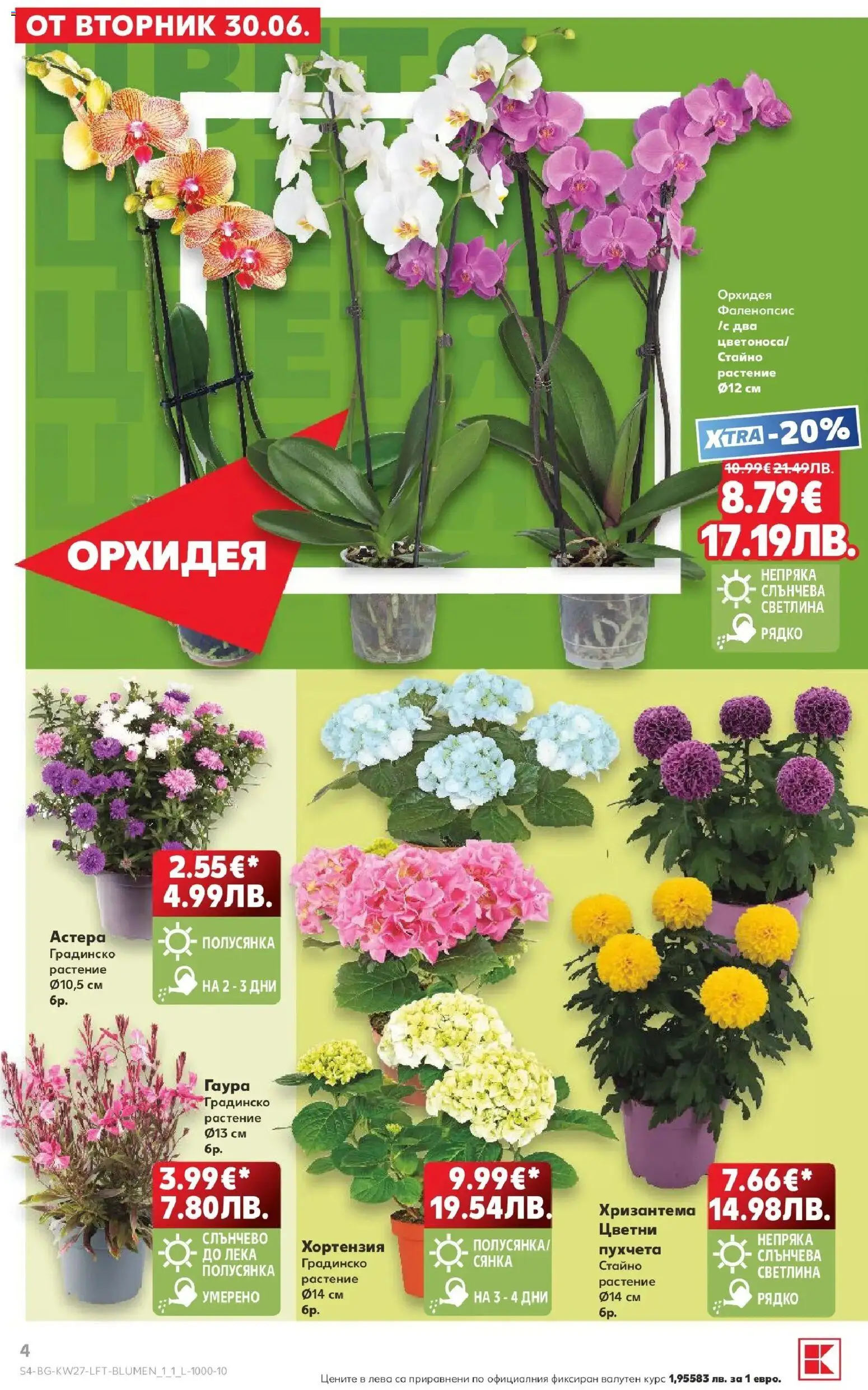 {H1} | Страница: 4 | Продукти: Орхидея, Хризантема