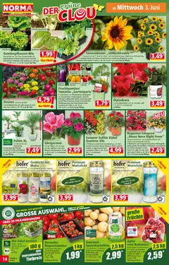 Norma Flugblatt ab 01.06.2026 gültig | Seite: 14
