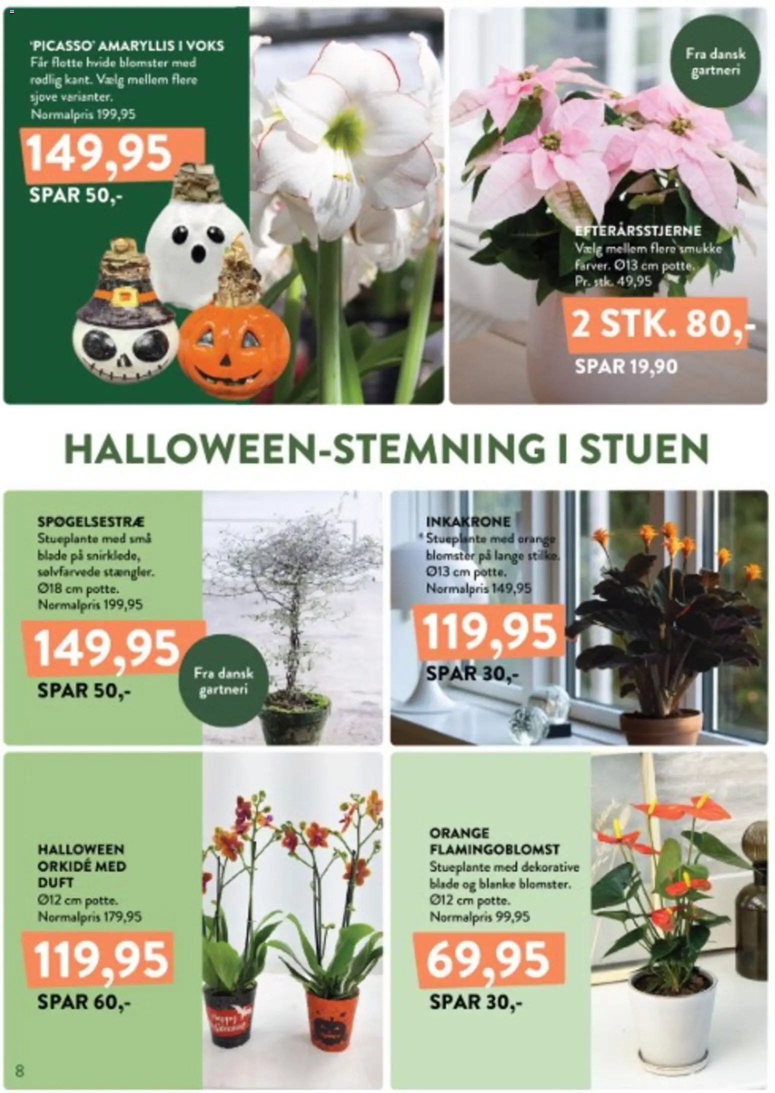 Plantorama tilbudsavis – gyldig fra 12/10/2026 | Side: 8 | Produkter: Duft