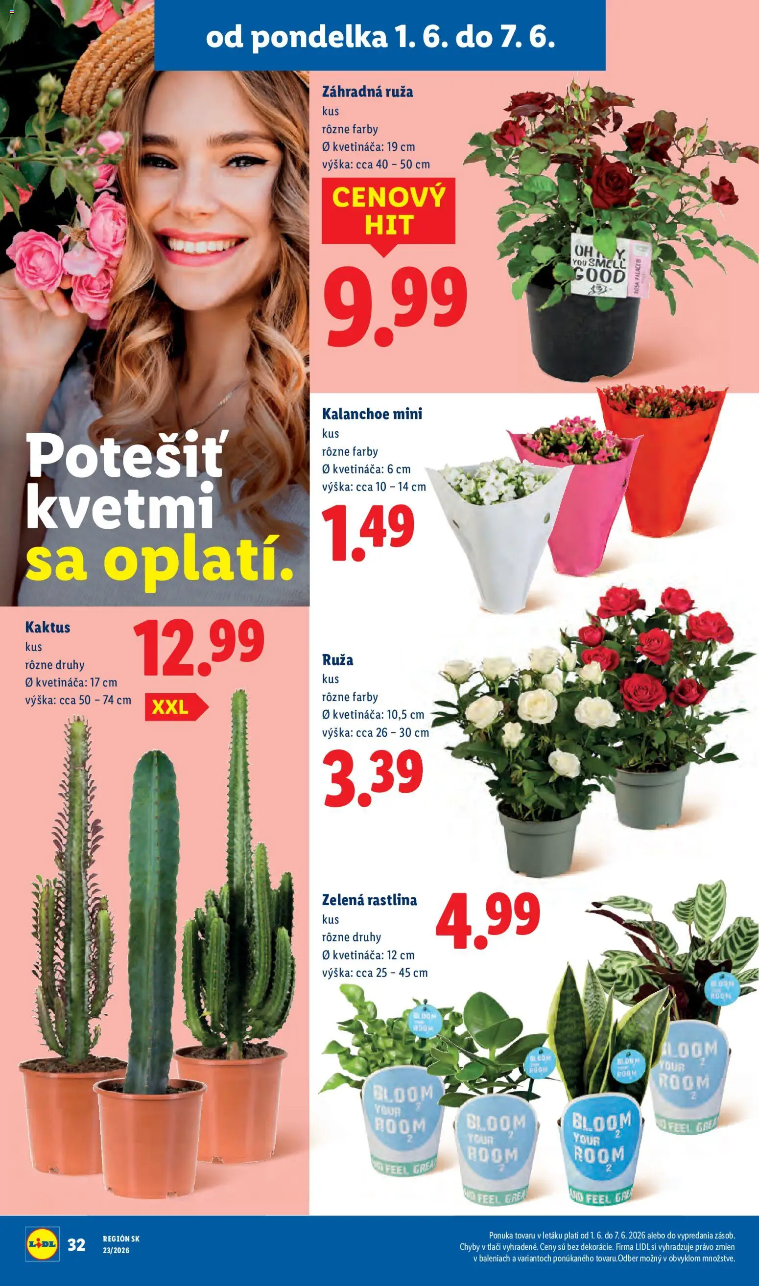 Nové Lidl akcie – leták je platný od 01.06.2026 | Strana: 46
