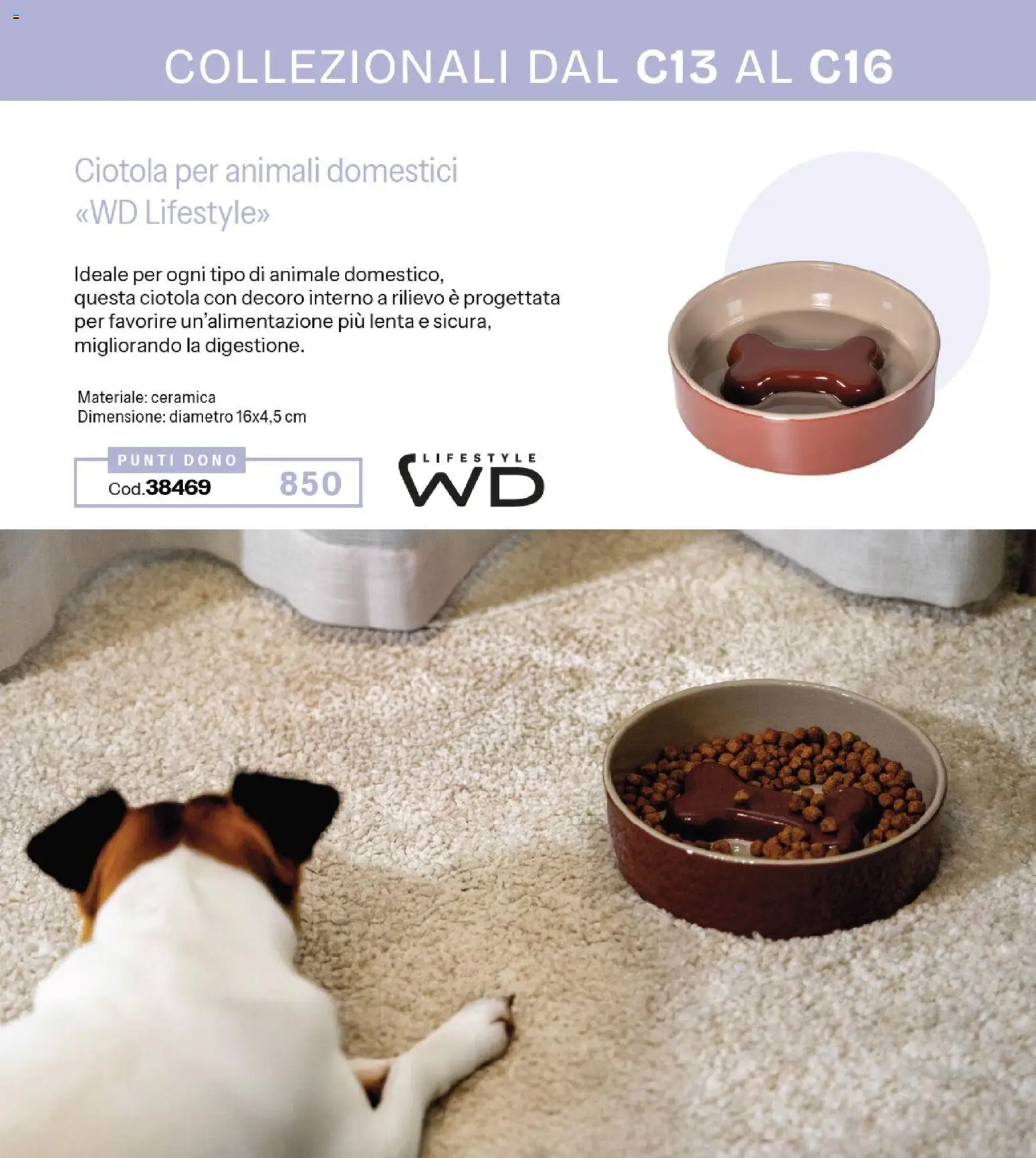 Volantino Stanhome del 08/09/2026 | Pagina: 48 | Prodotti: Ciotola