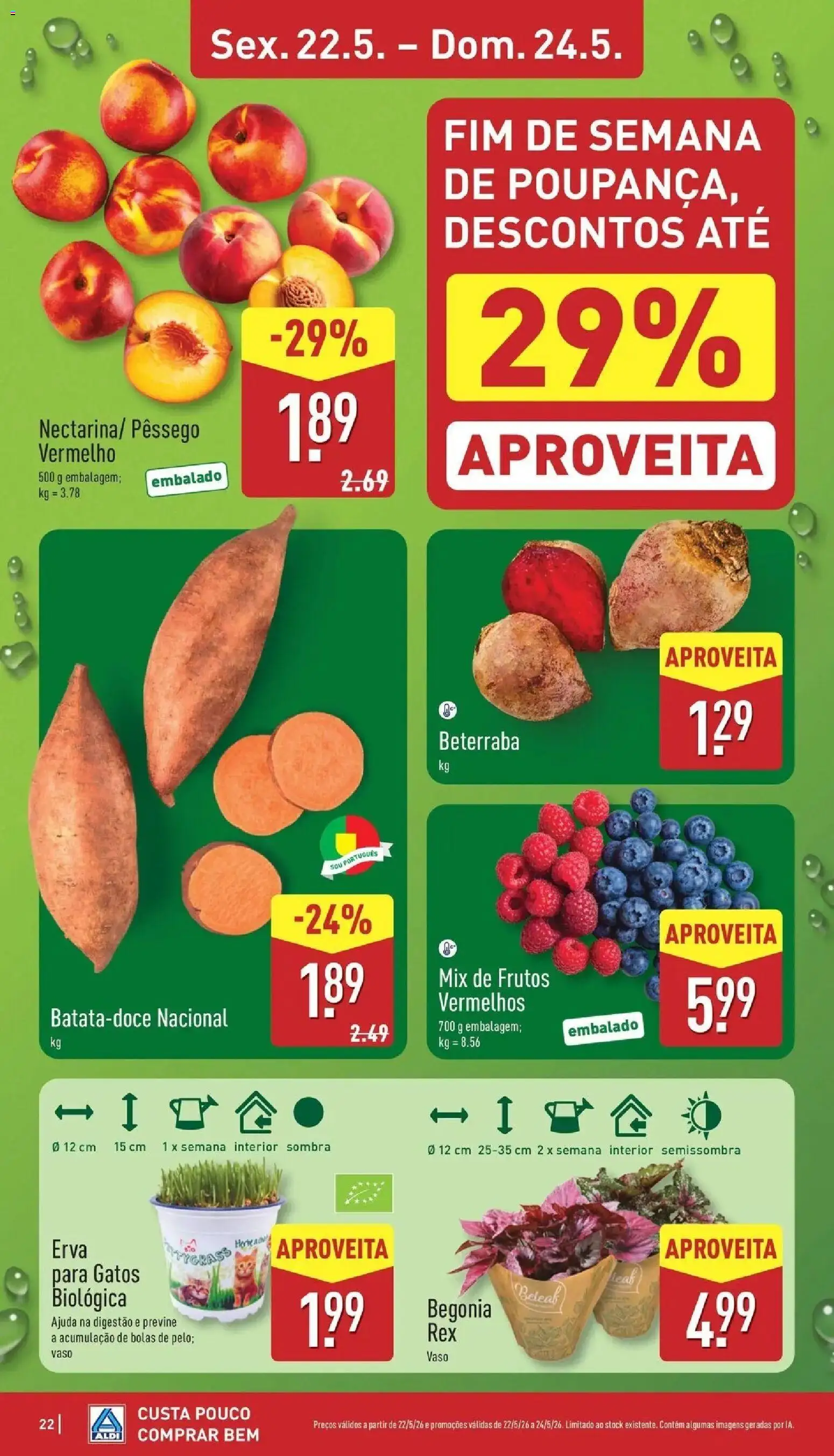 Aldi Folheto Boliqueime │ válido de 18.05.2026 | Página: 22 | Produtos: Beterraba, Vaso