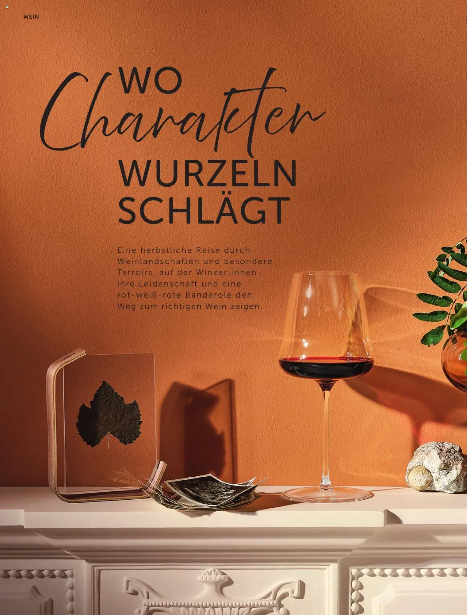 Interspar Wein Welt gültig ab 08.09.2026 | Seite: 6 | Produkte: Wein
