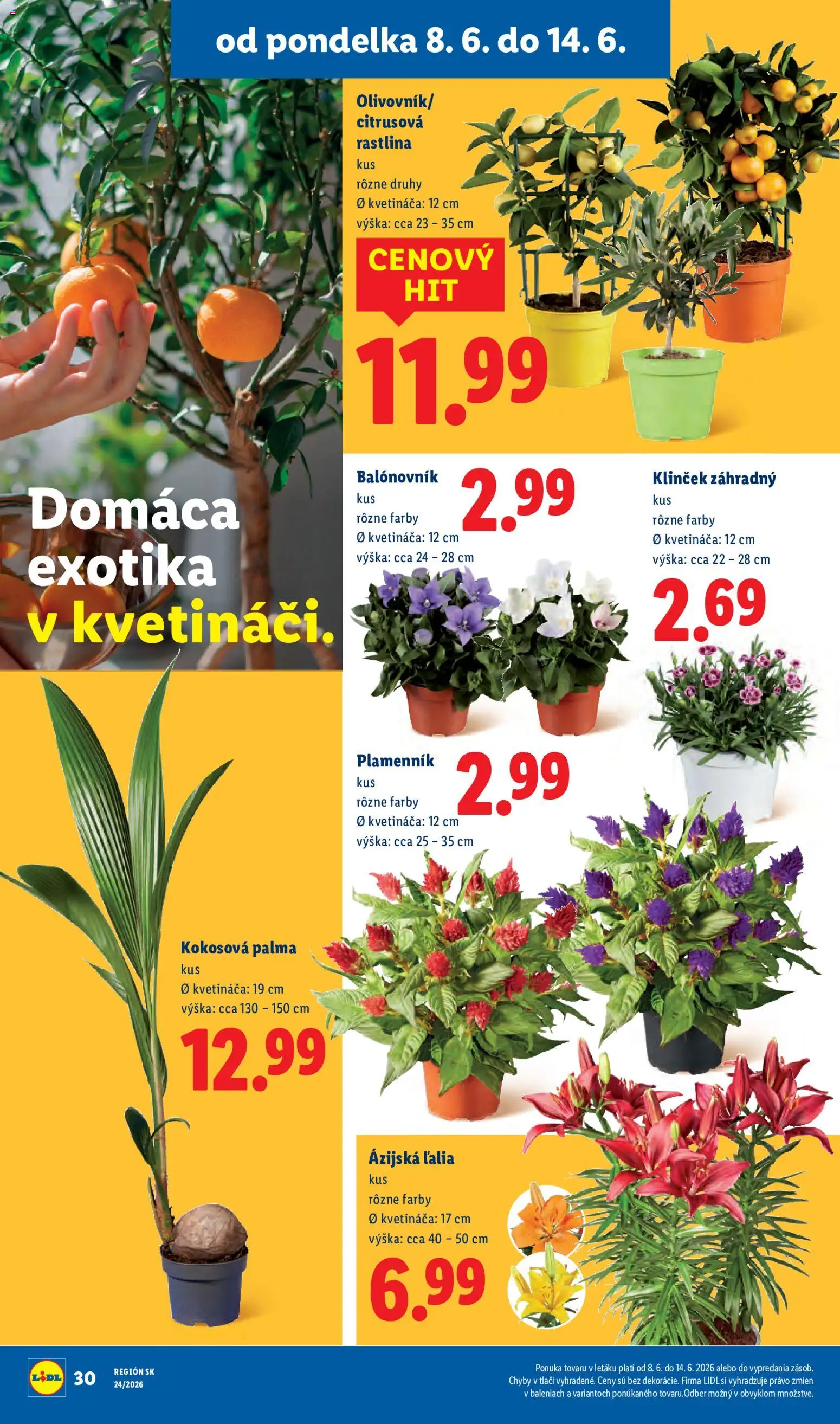 Nové Lidl akcie – leták je platný od 08.06.2026 | Strana: 44