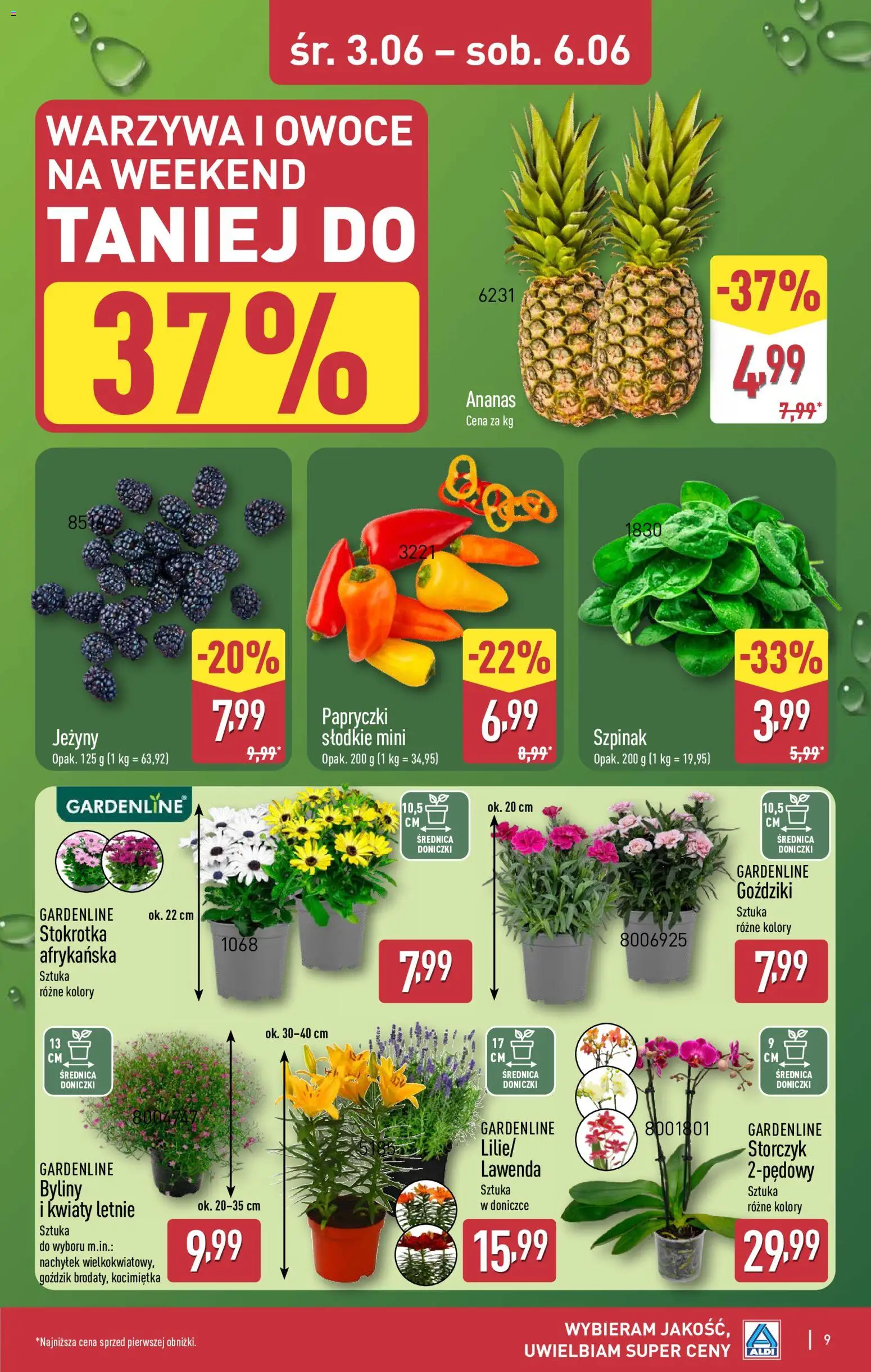 Aldi gazetka - Oferta weekendowa od 04.06.2026 | Strona: 9 | Produkty: Stokrotka, Doniczki, Storczyk, Warzywa