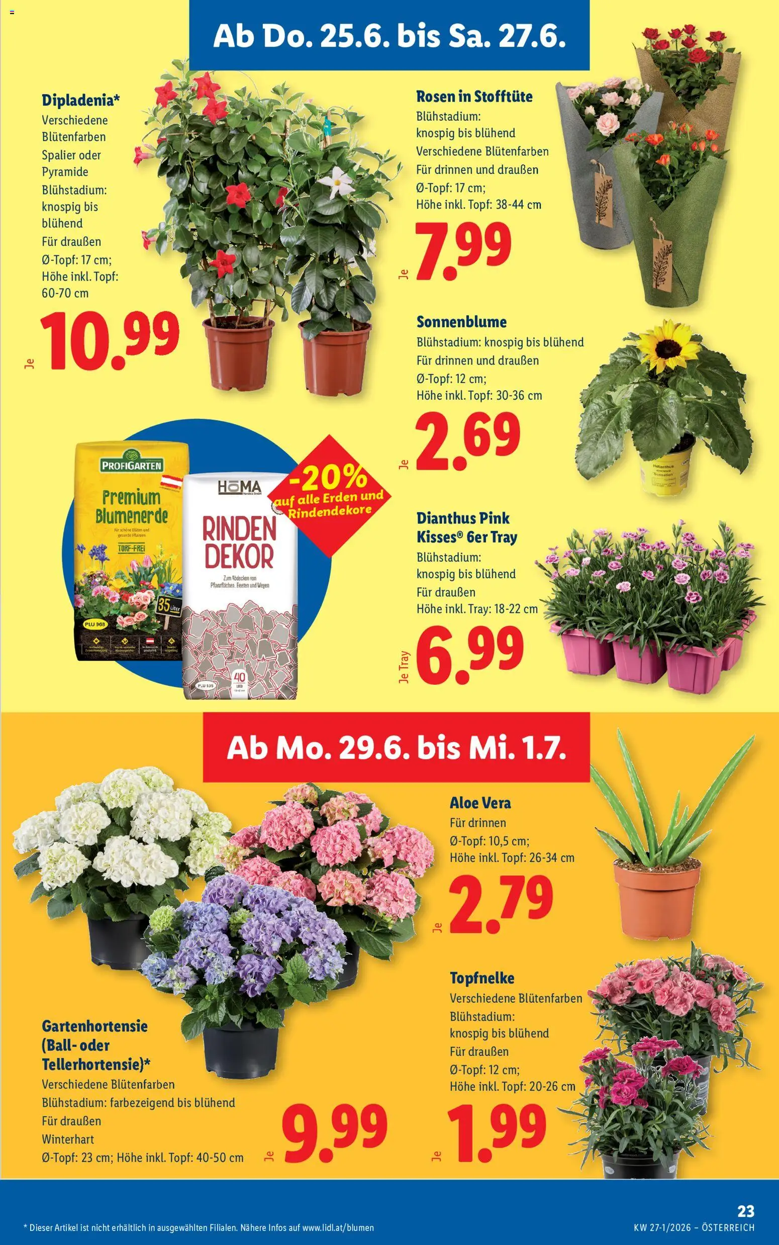 Lidl - Flugblatt gültig ab 25.06.2026 | Seite: 27