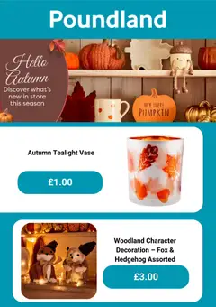 Preview of Poundland - Offers valid from 11/08/2026 | Page: 3 | Products: Pumpkin, Vase