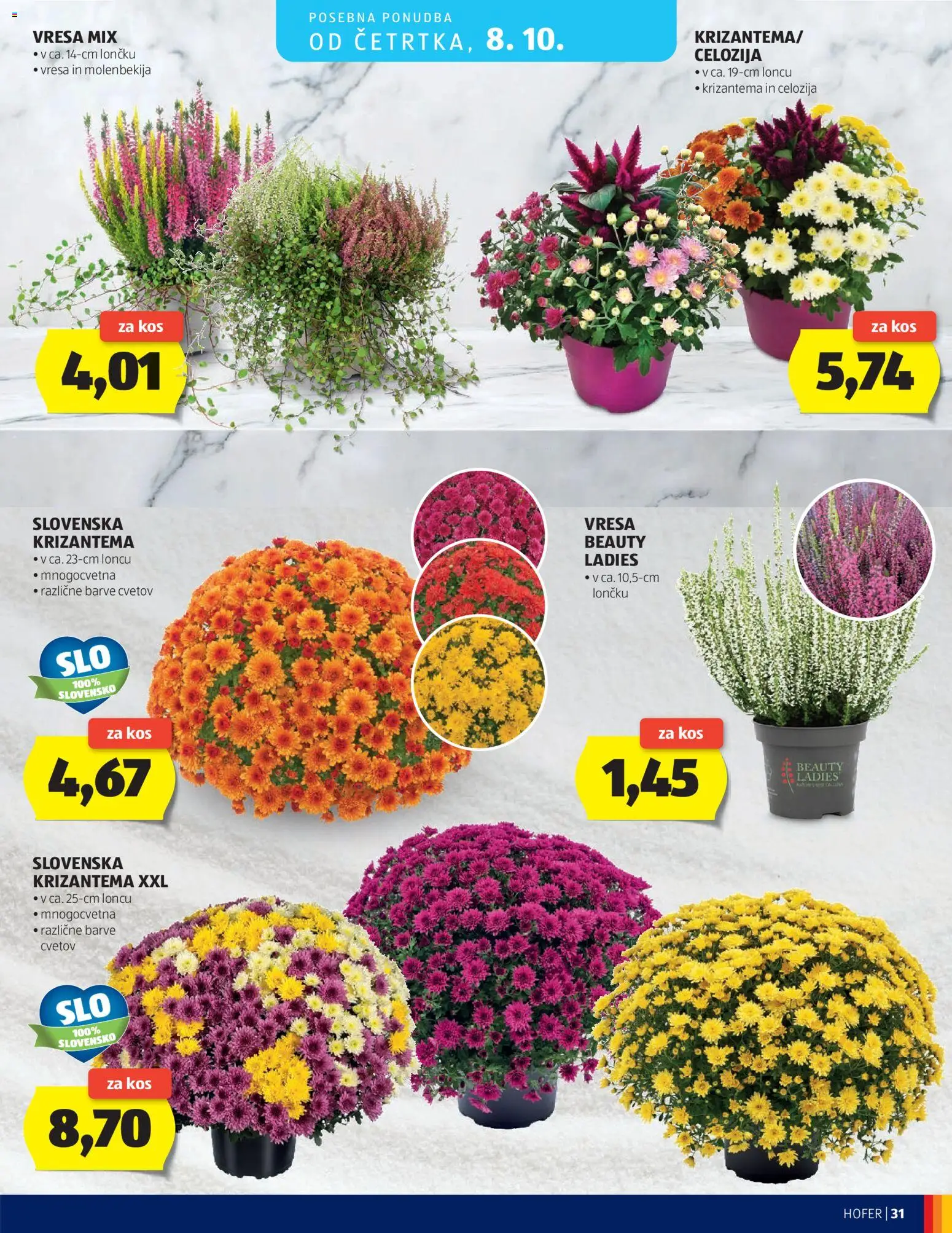 Hofer SI katalog | vrijedi od 30.09.2026 | Stranica: 31