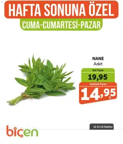 12.06.2026 tarihinden itibaren geçerli olan Biçen Market kataloğu önizlemesi | Sayfa: 5 | Ürünler: Raf, Nane