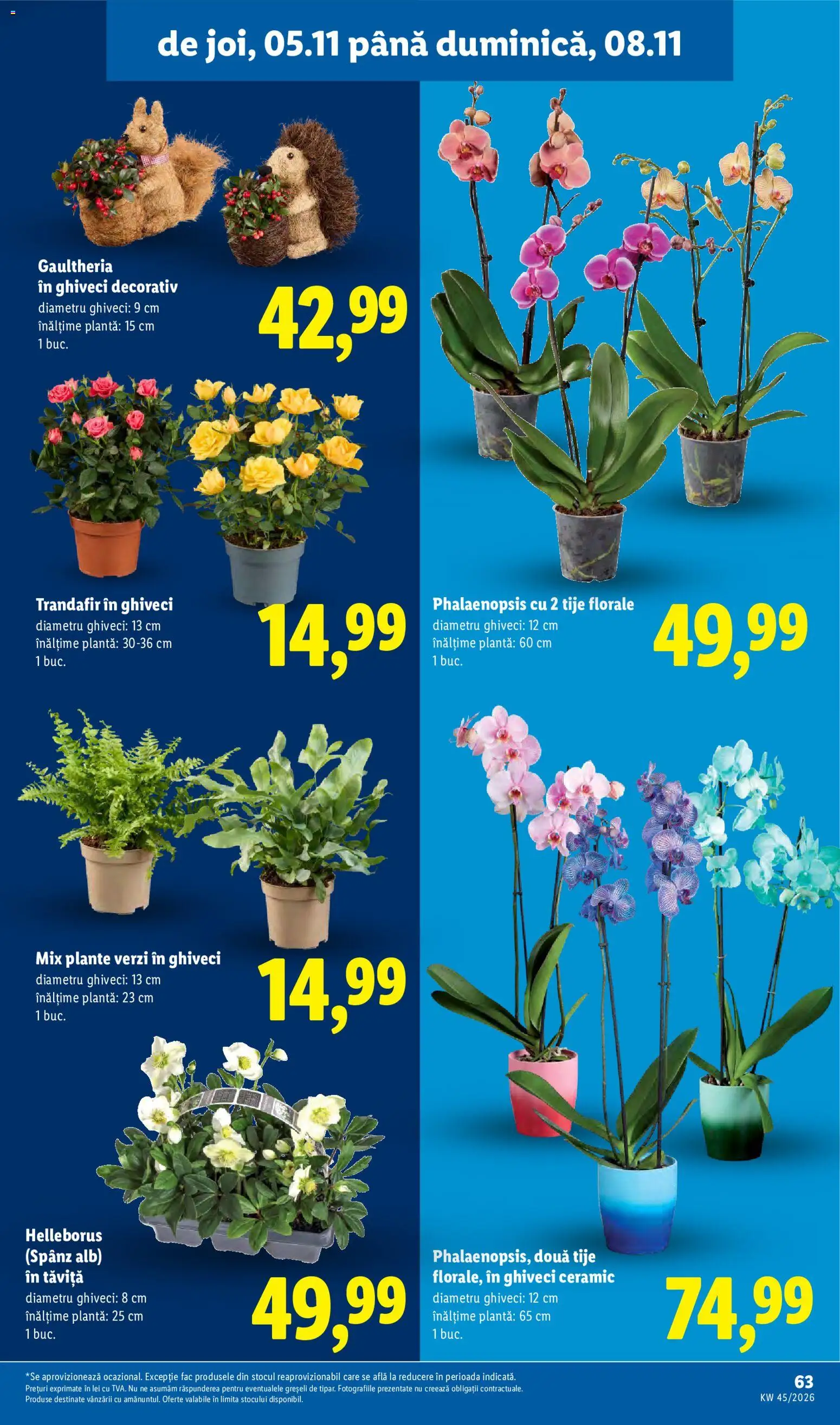Noul catalog Lidl – valabil de la 02.11.2026 | Pagină: 63
