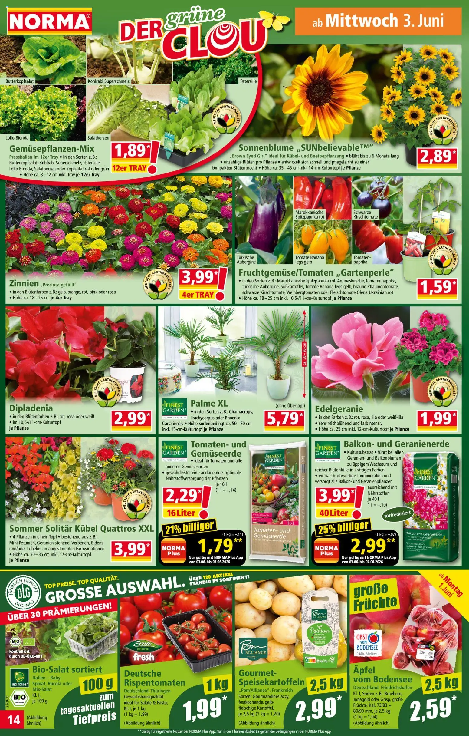 Norma Prospekt – gültig ab 01.06.2026 | Seite: 14 | Produkte: Top, Rucola, Kohlrabi, Äpfel