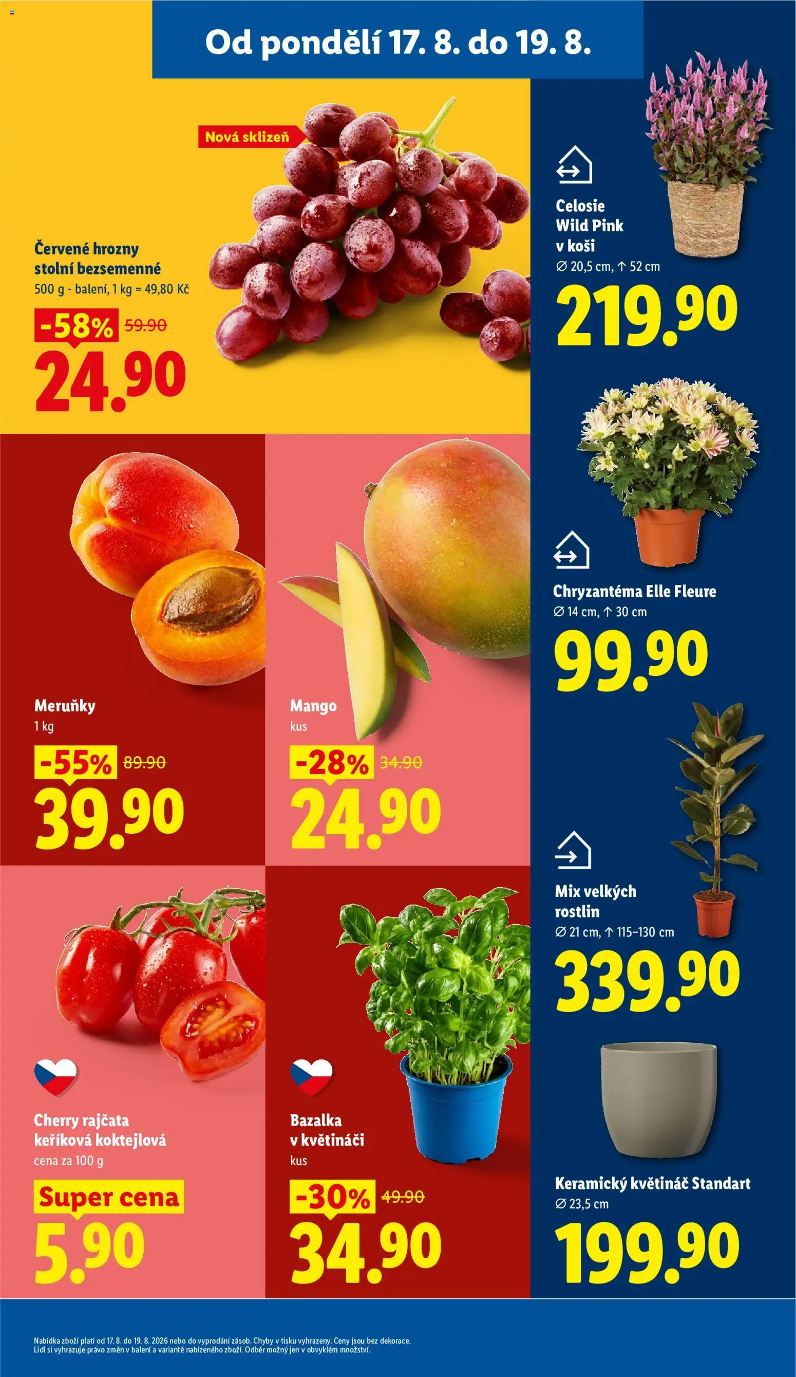 Lidl leták od 17.08.2026 | Strana: 15 | Produkty: Mango, Cherry rajčata, Bazalka, Hrozny