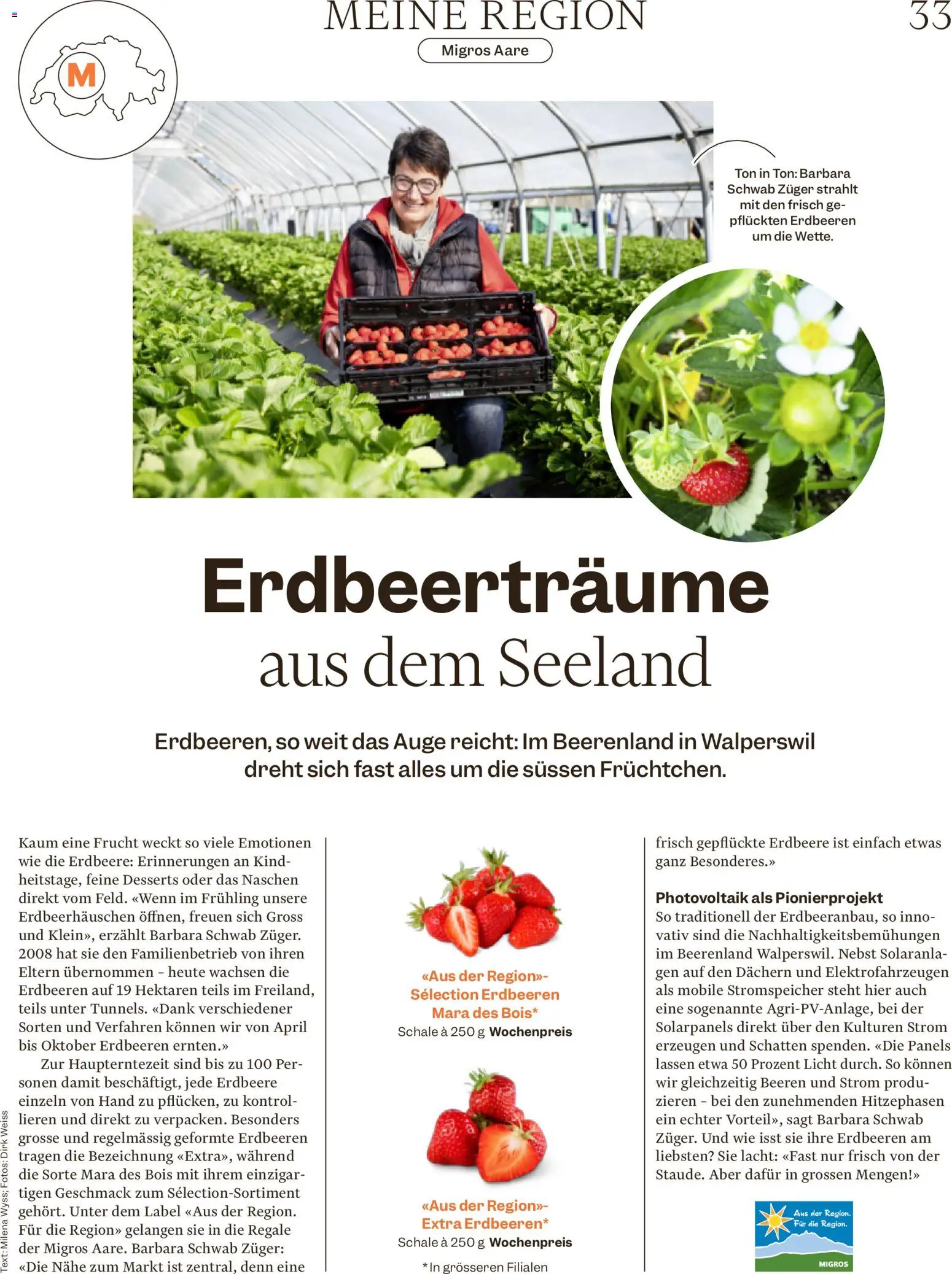 Migros aktionen Magazin – gültig ab 10.06.2026 | Seite: 33 | Produkte: Erdbeeren