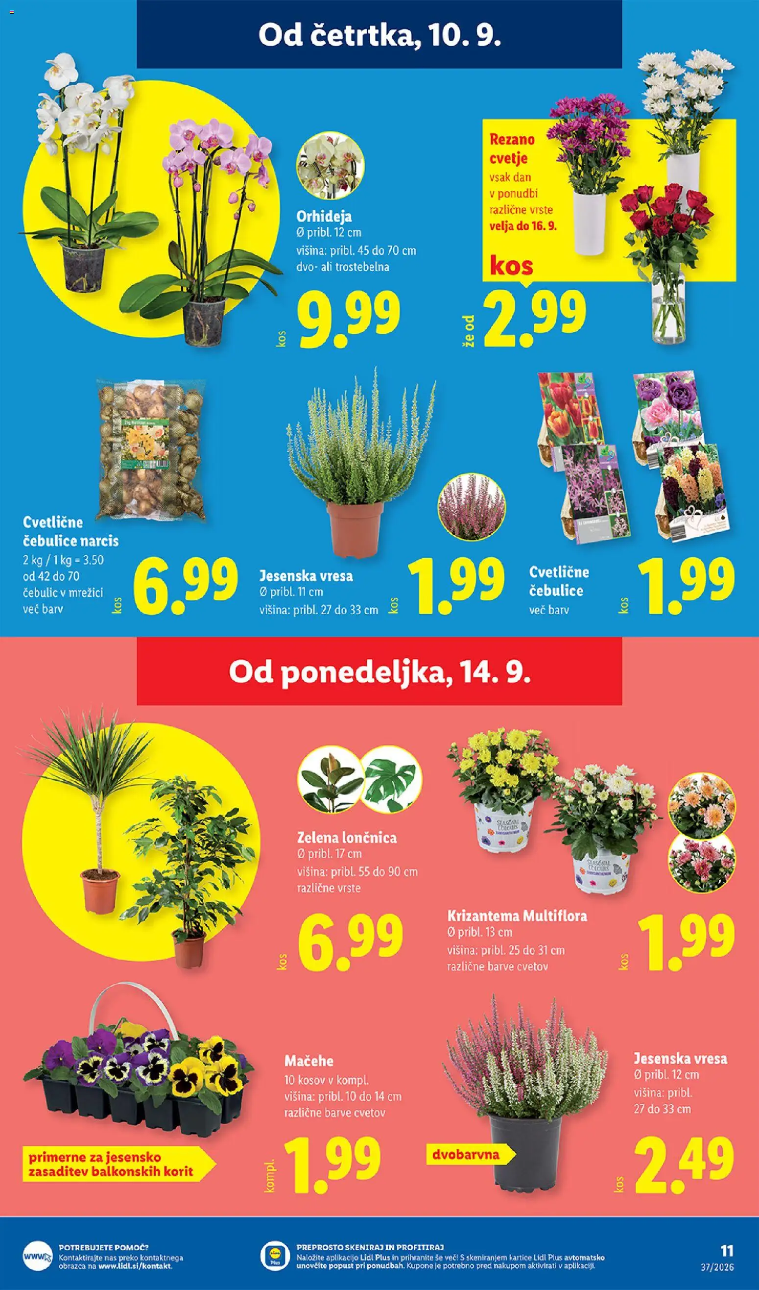 Novi Lidl katalog ponudbe – veljaven od 10.09.2026 | Stran: 17