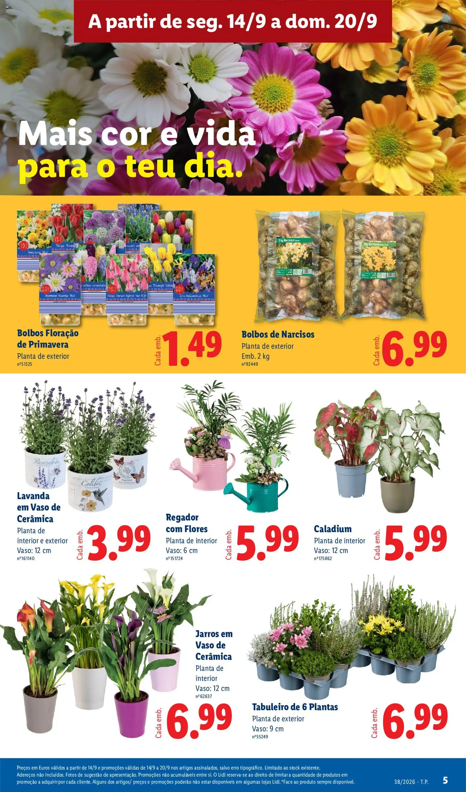 Lidl folheto │ válido de 14/09/2026 | Página: 5 | Produtos: Flores, Vaso