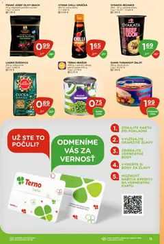 Terno leták platný od 02.07.2026 | Strana: 11
