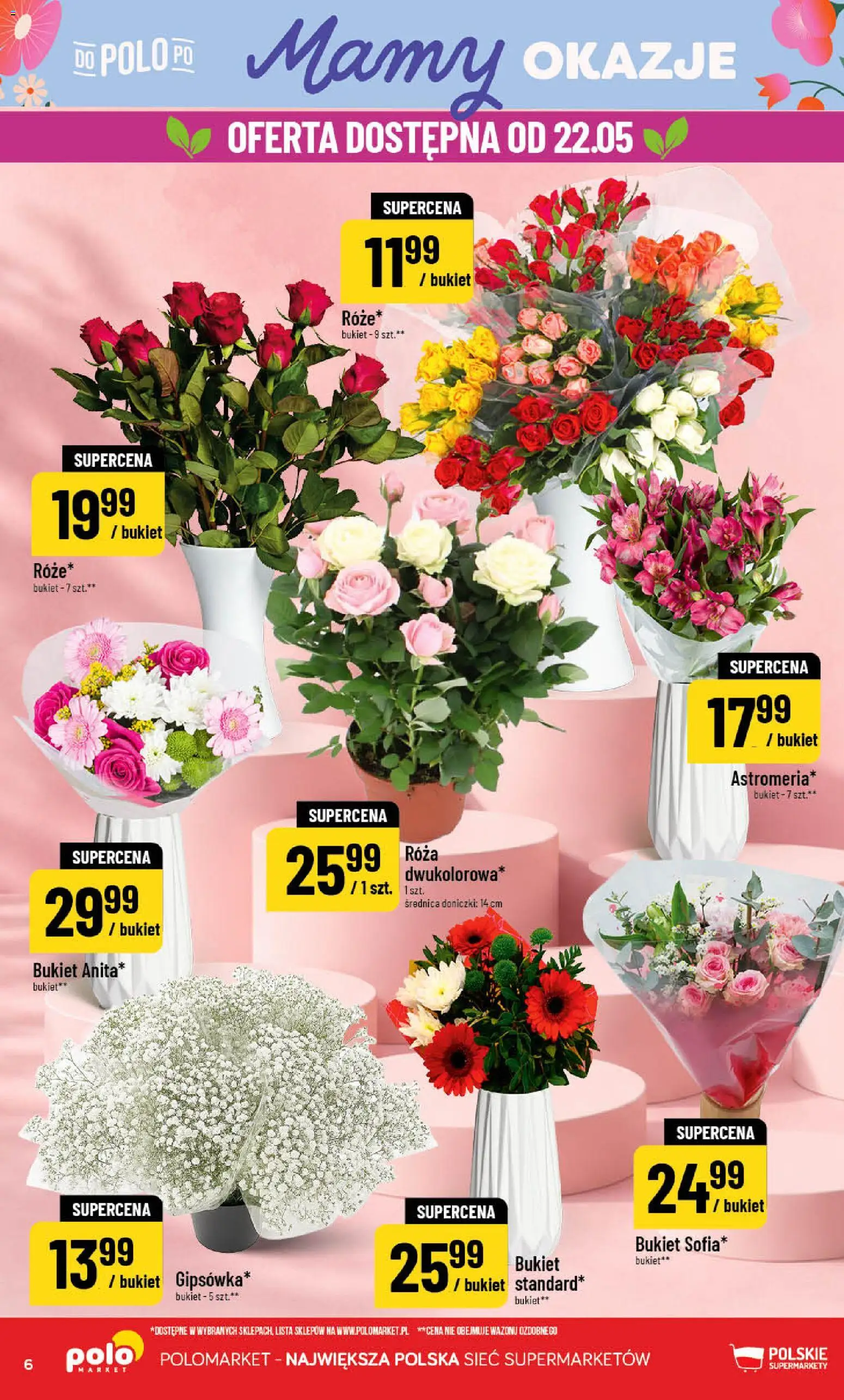 POLOmarket gazetka od 20.05.2026 | Strona: 6 | Produkty: Doniczki