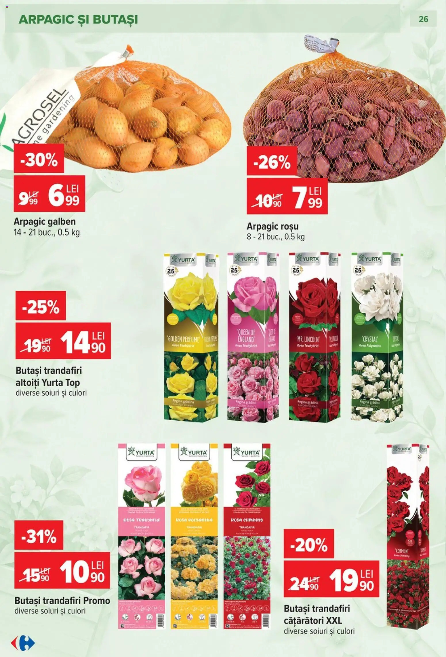 Noul catalog Carrefour – valabil de la 23.09.2026 | Pagină: 26 | Produse: Regina, Top, Trandafir
