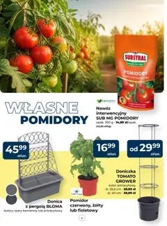 Pogląd oferty "Mrówka gazetka" - ważna od 14.05.2026 | Strona: 6 | Produkty: Doniczka, Pomidory