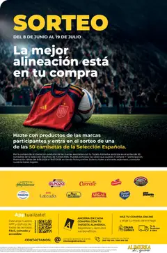 Vista previa Alimerka folleto Asturias válido desde el 08.06.2026 | Página: 18 | Productos: Queso, Té, Teléfono, Prensa