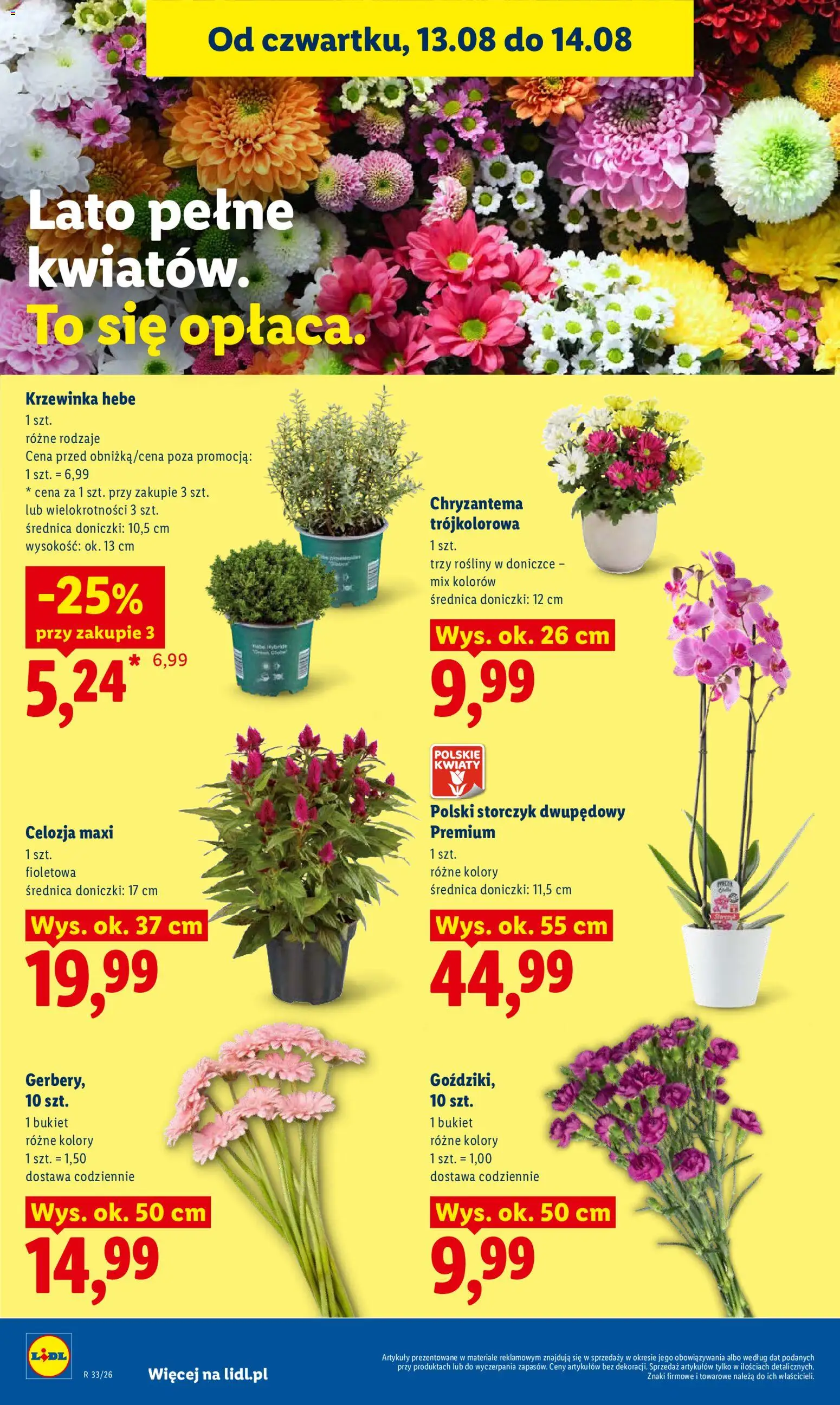 Lidl Polsko leták od 12.08.2026 | Strana: 86 | Produkty: Storczyk